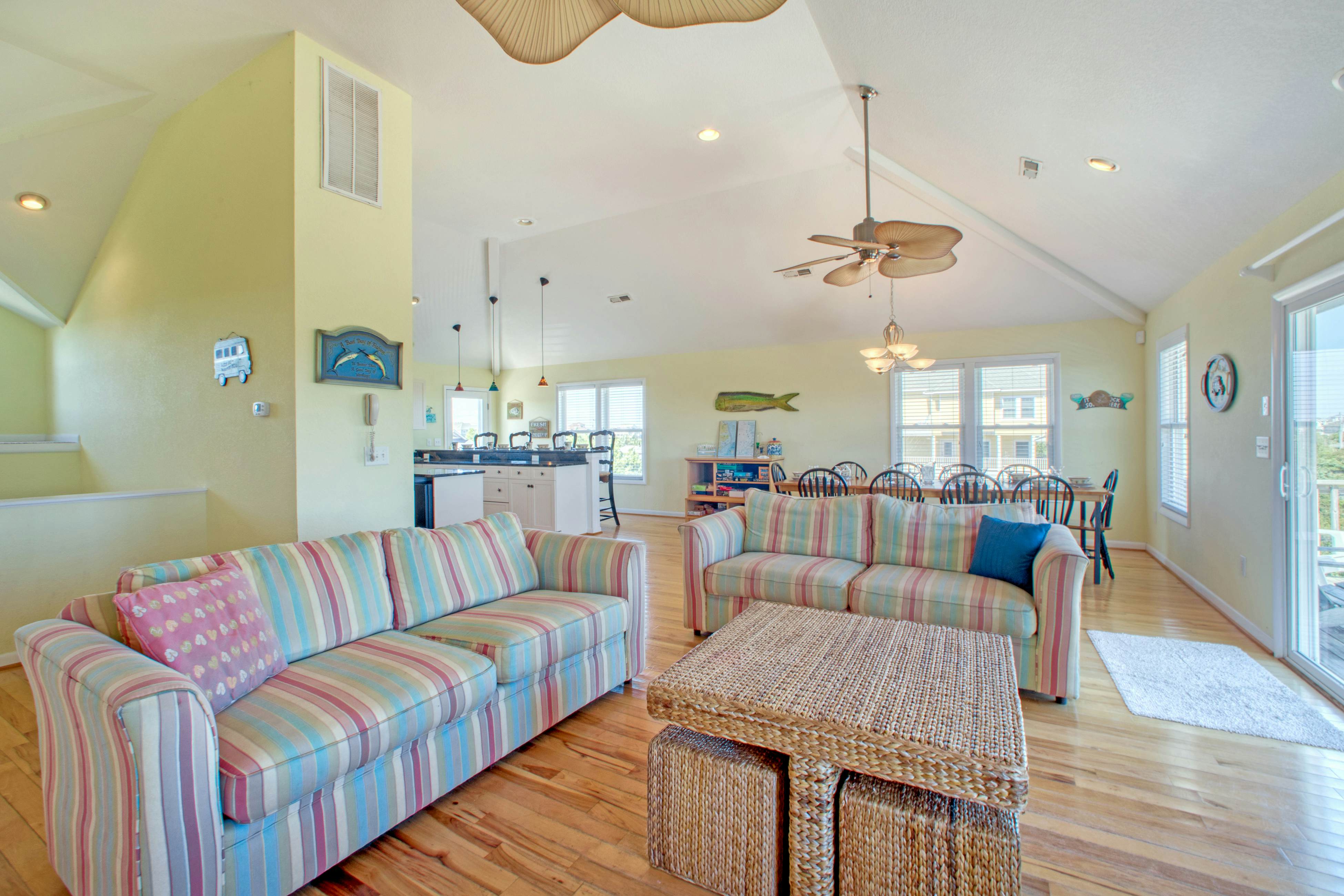 SO718 Lion in the Sun