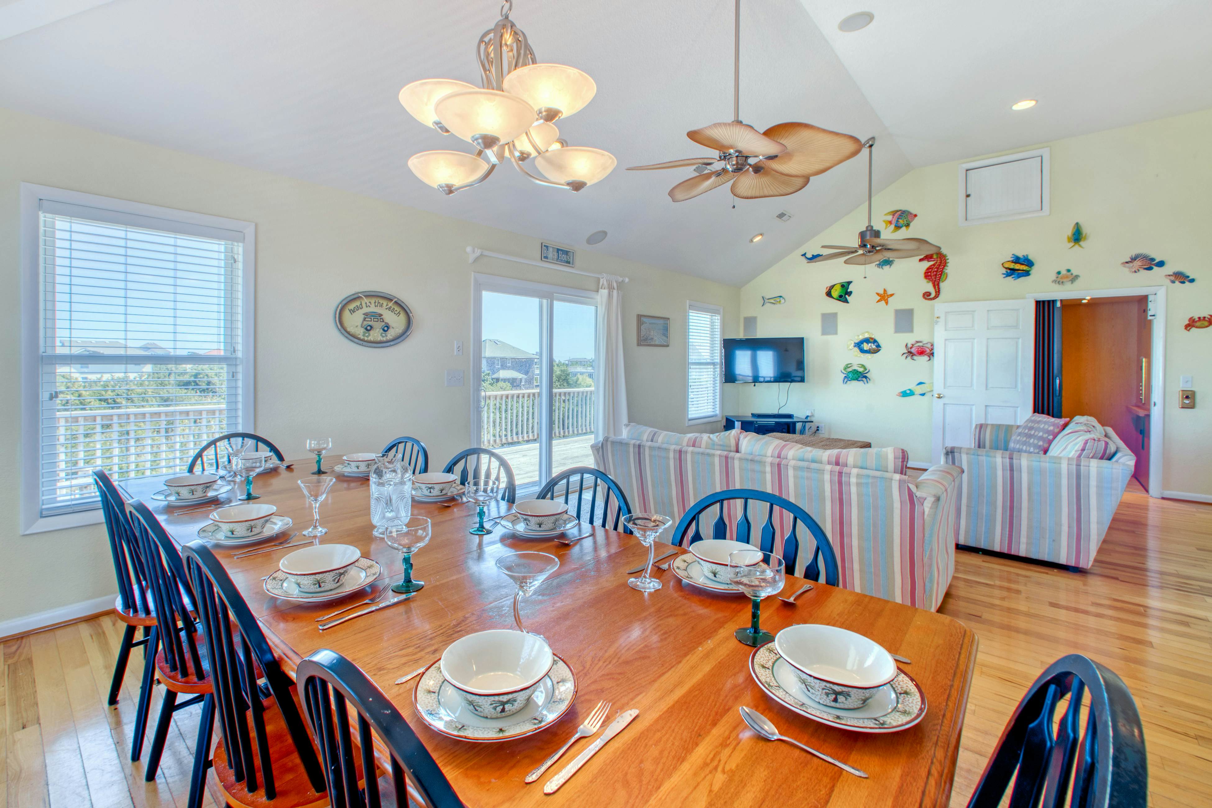 SO718 Lion in the Sun