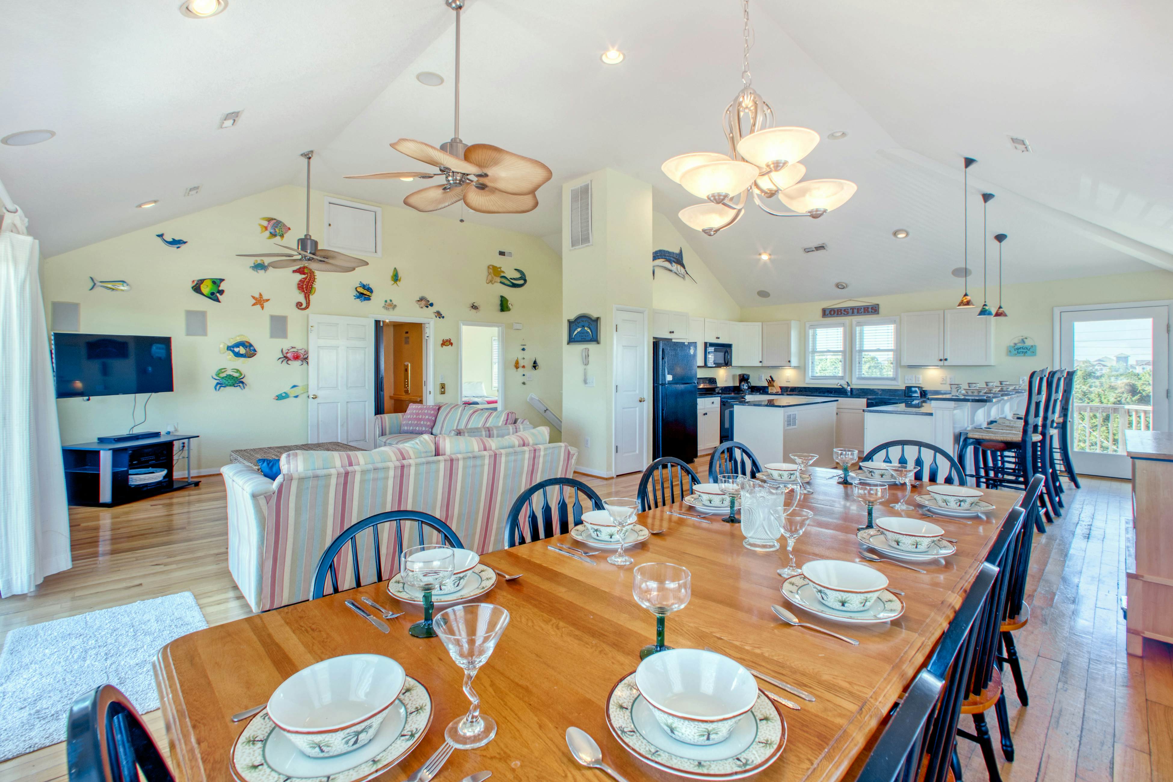 SO718 Lion in the Sun