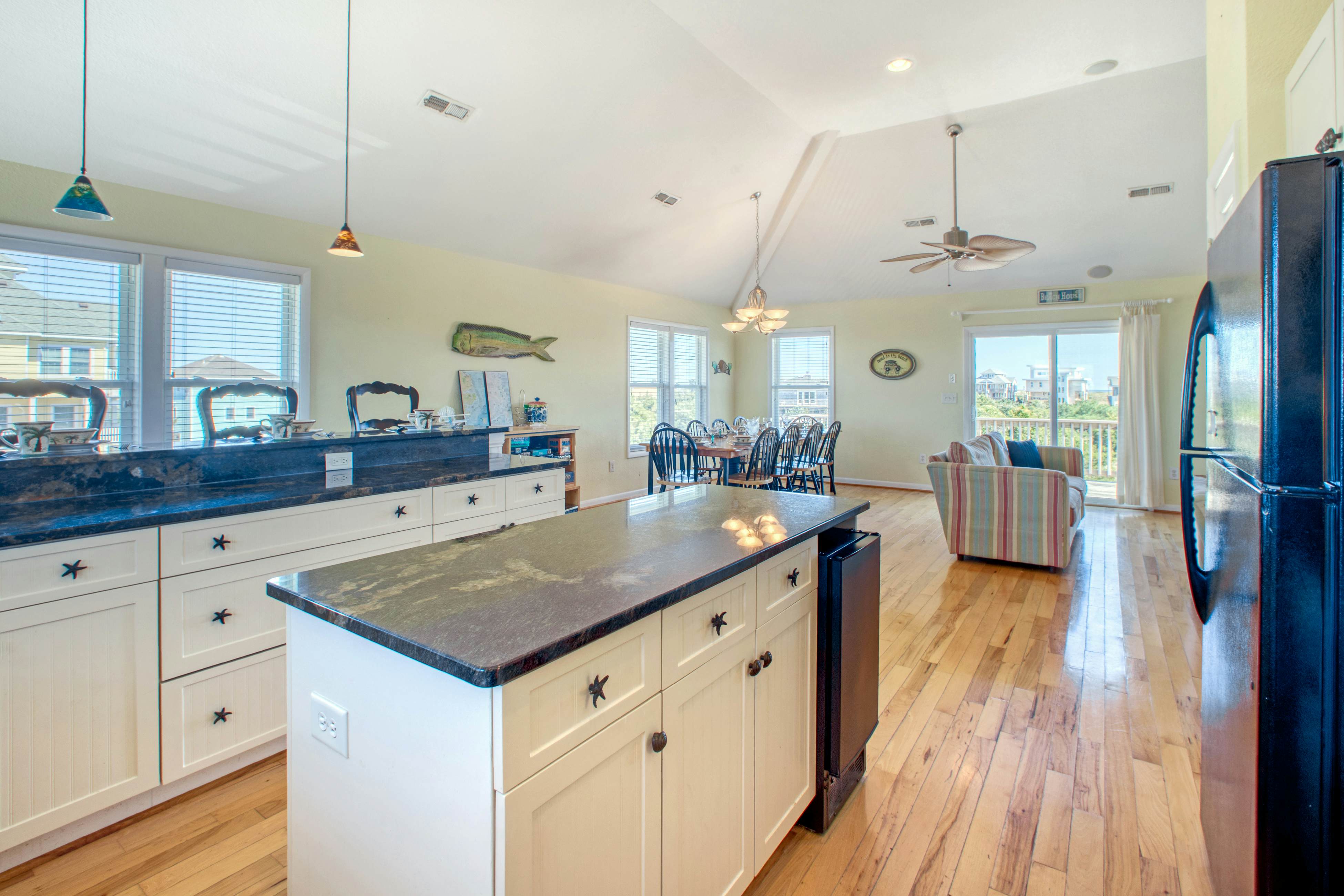 SO718 Lion in the Sun