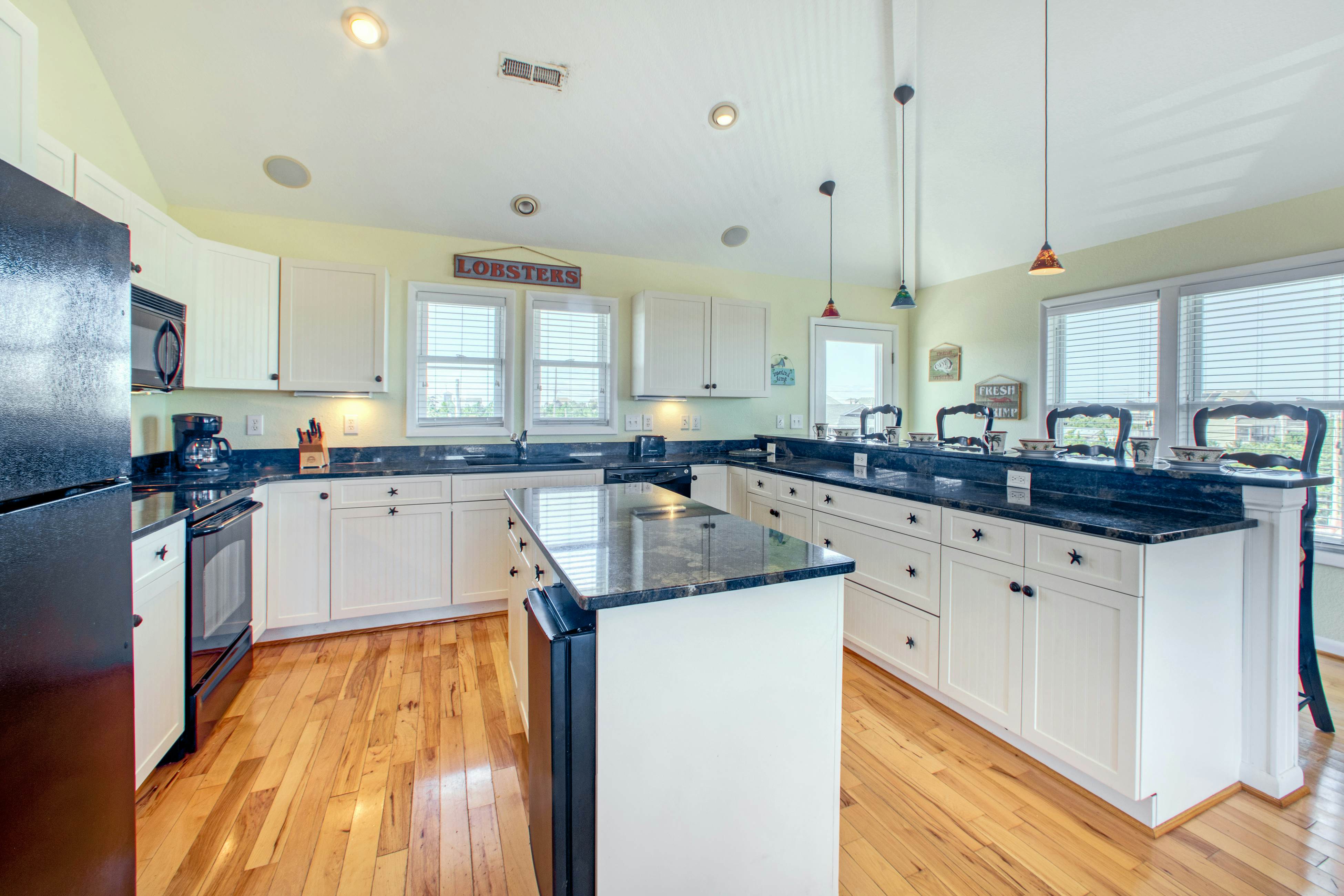 SO718 Lion in the Sun