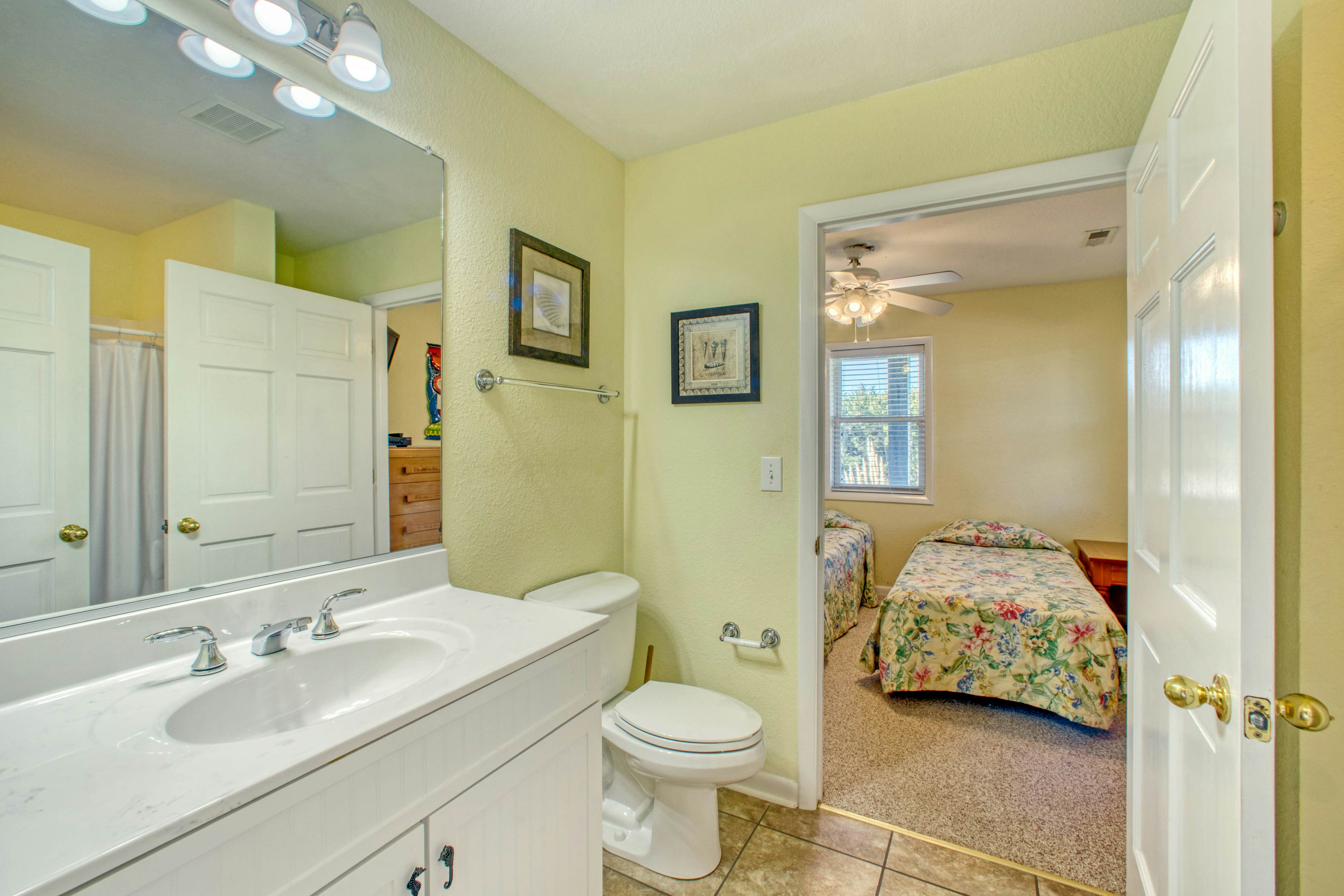 SO718 Lion in the Sun