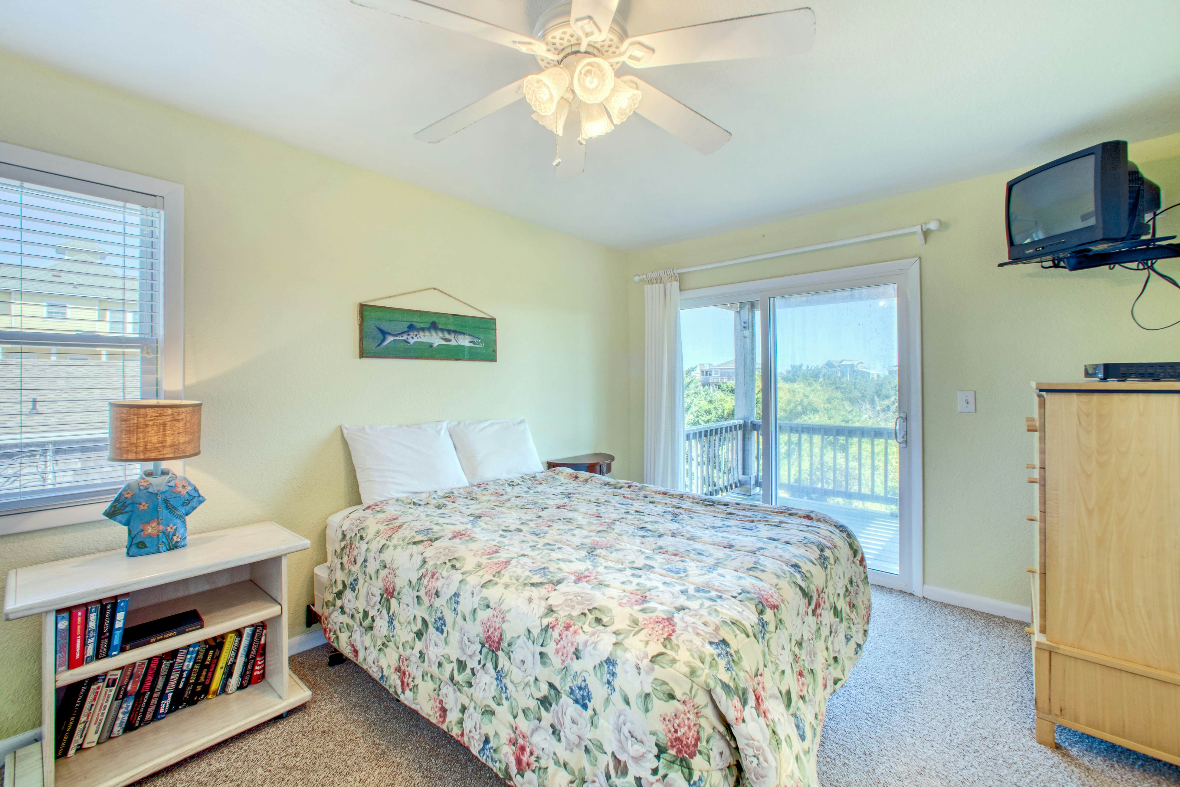 SO718 Lion in the Sun