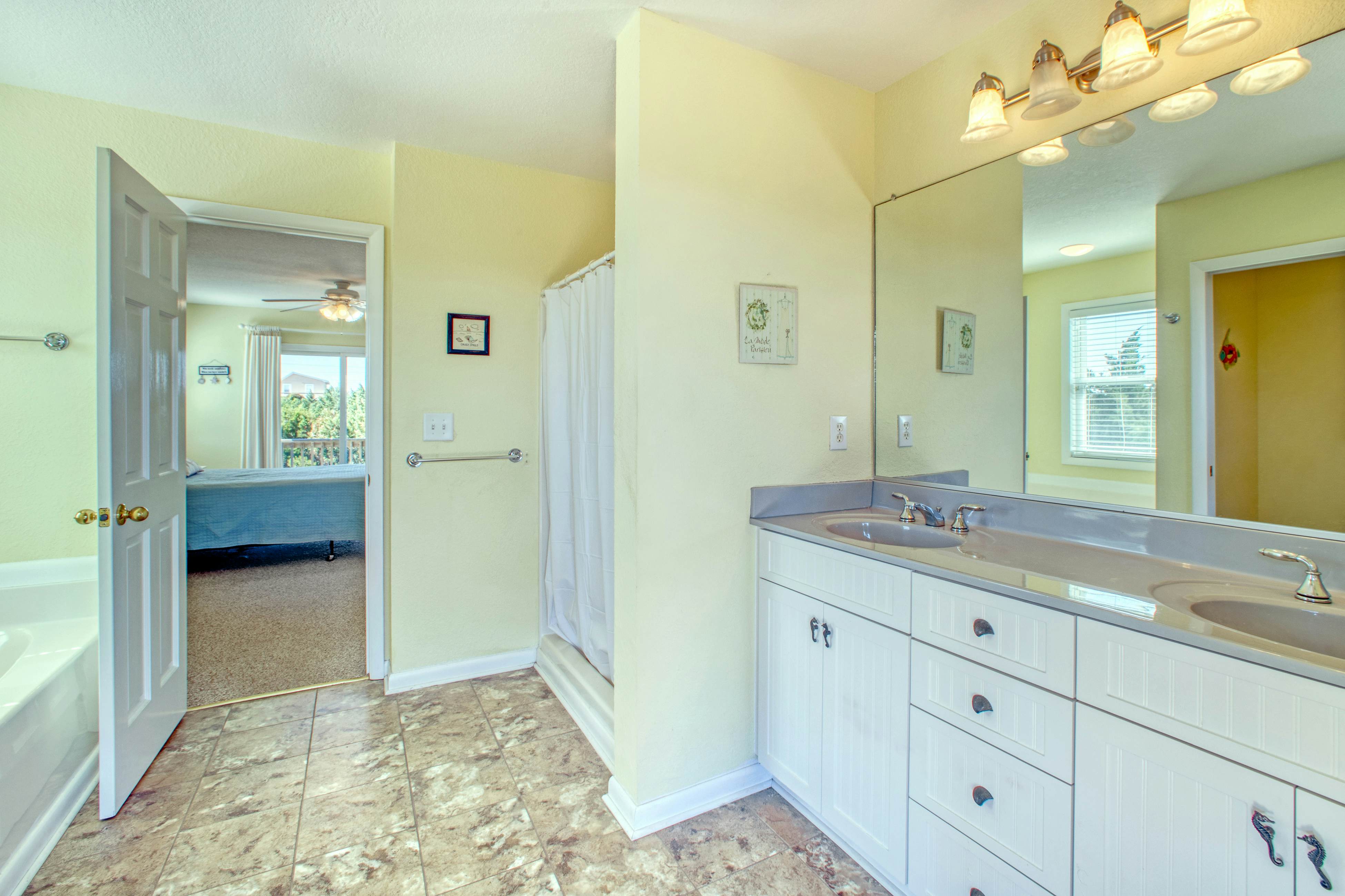 SO718 Lion in the Sun