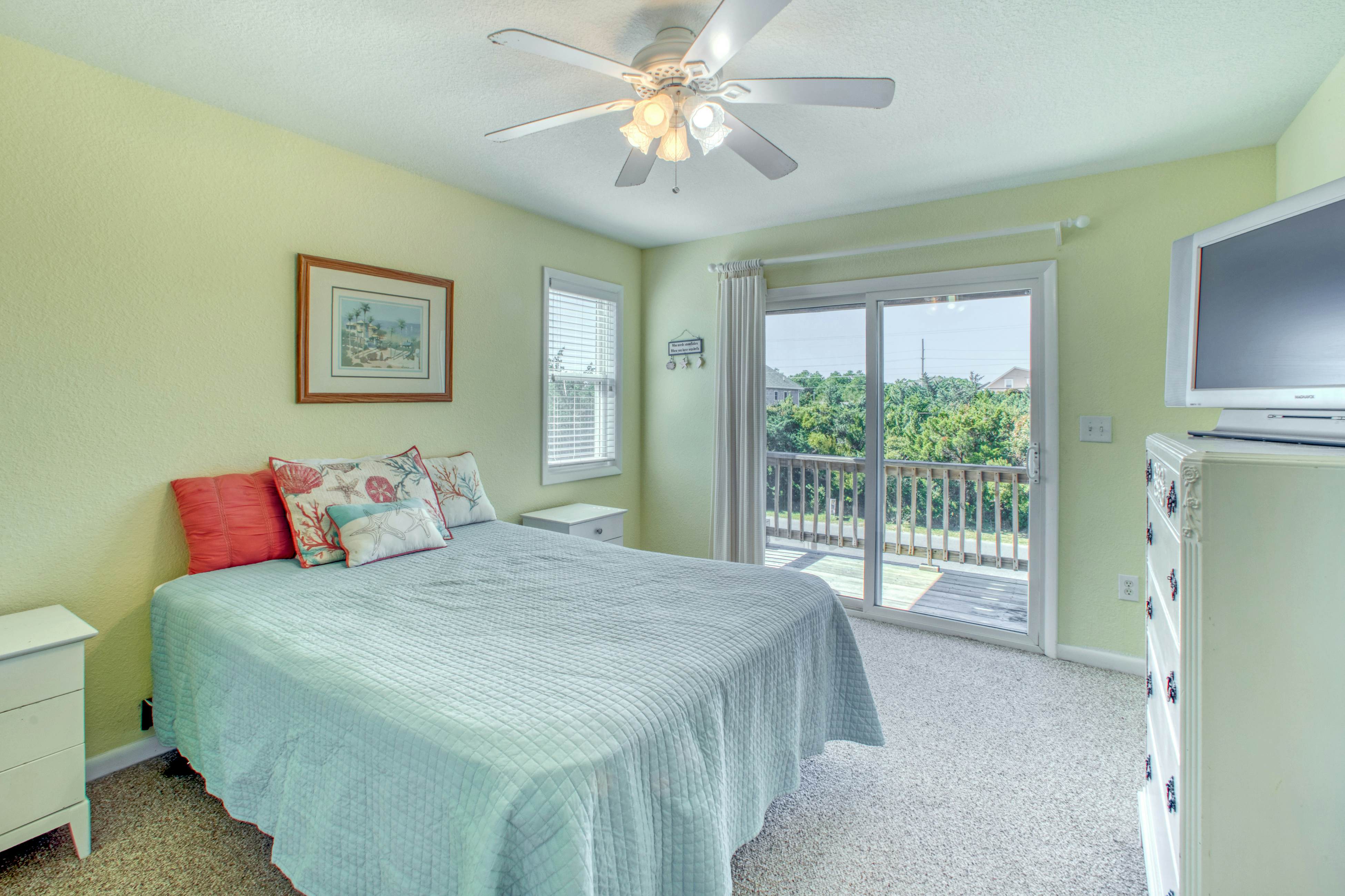 SO718 Lion in the Sun