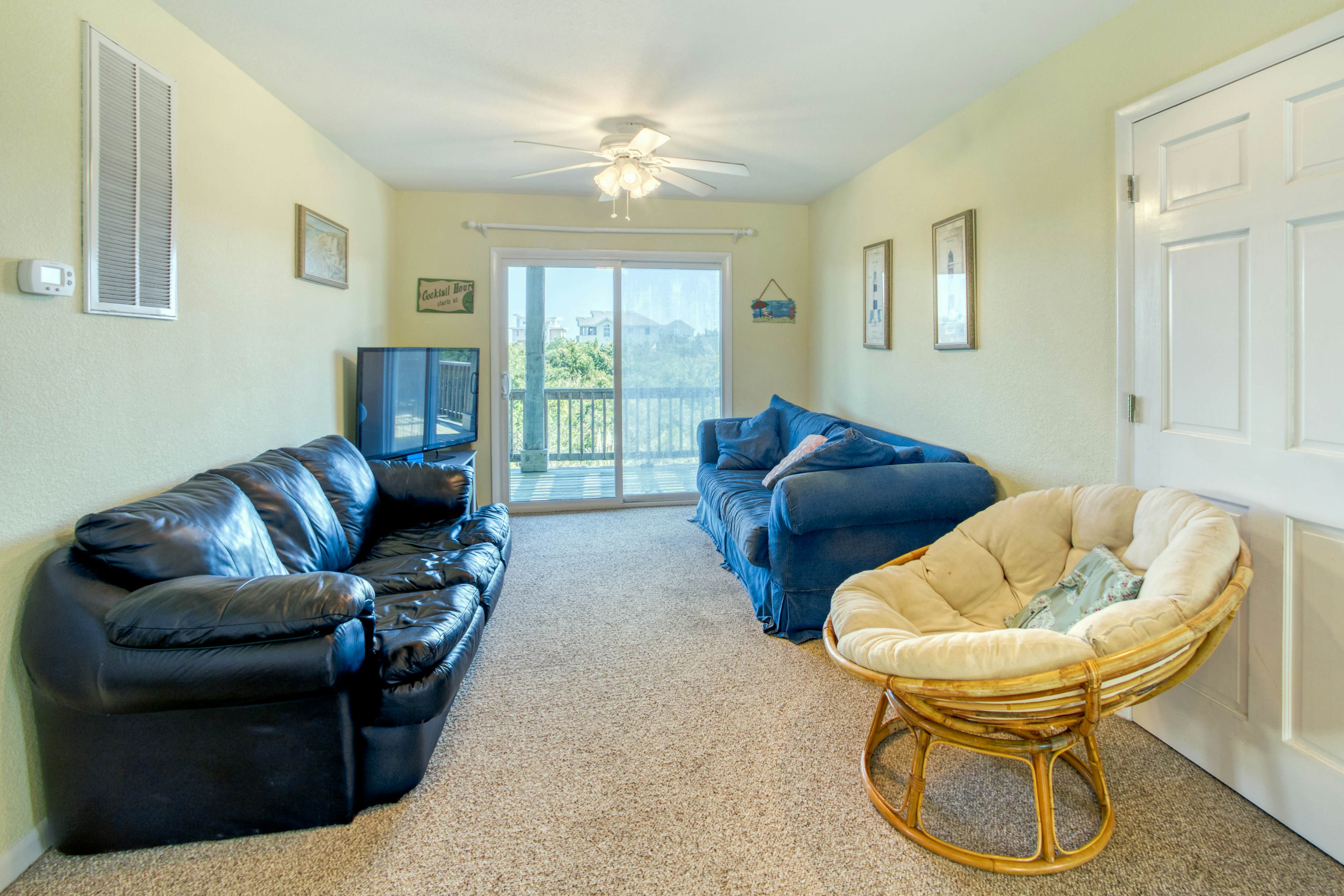 SO718 Lion in the Sun