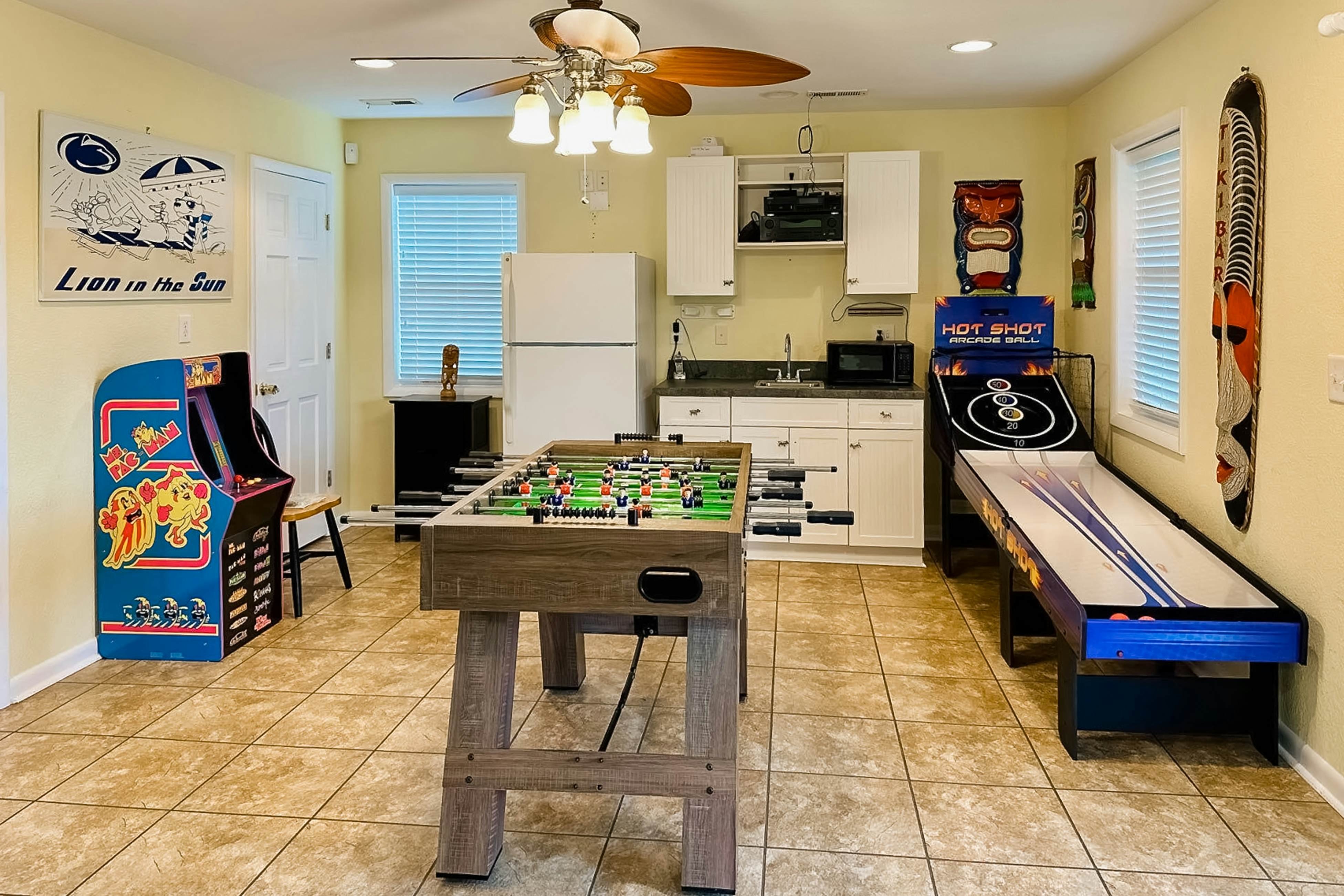 SO718 Lion in the Sun