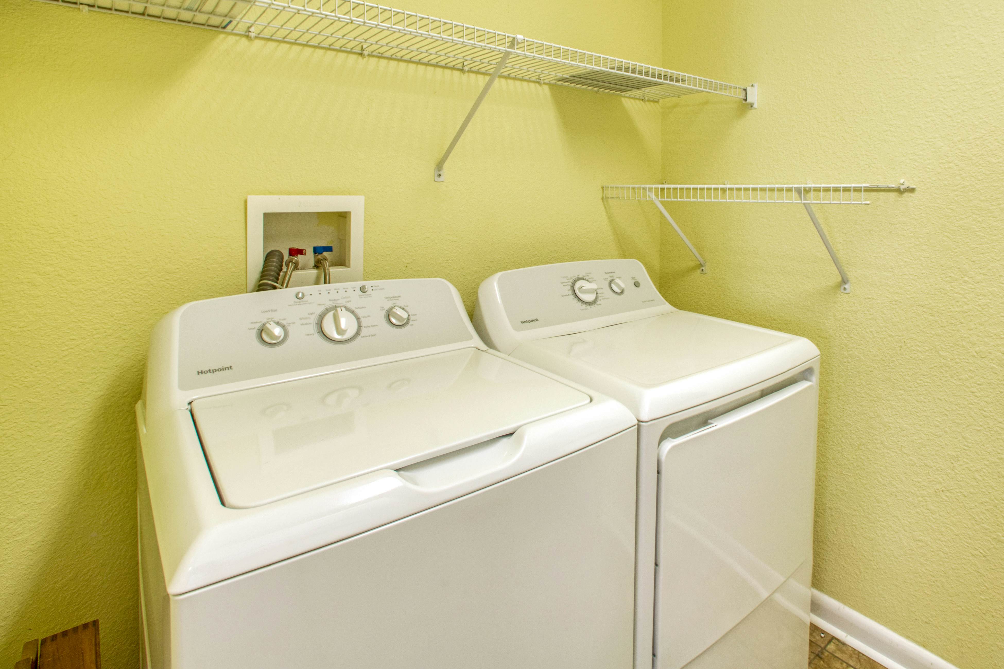 SO718 Lion in the Sun