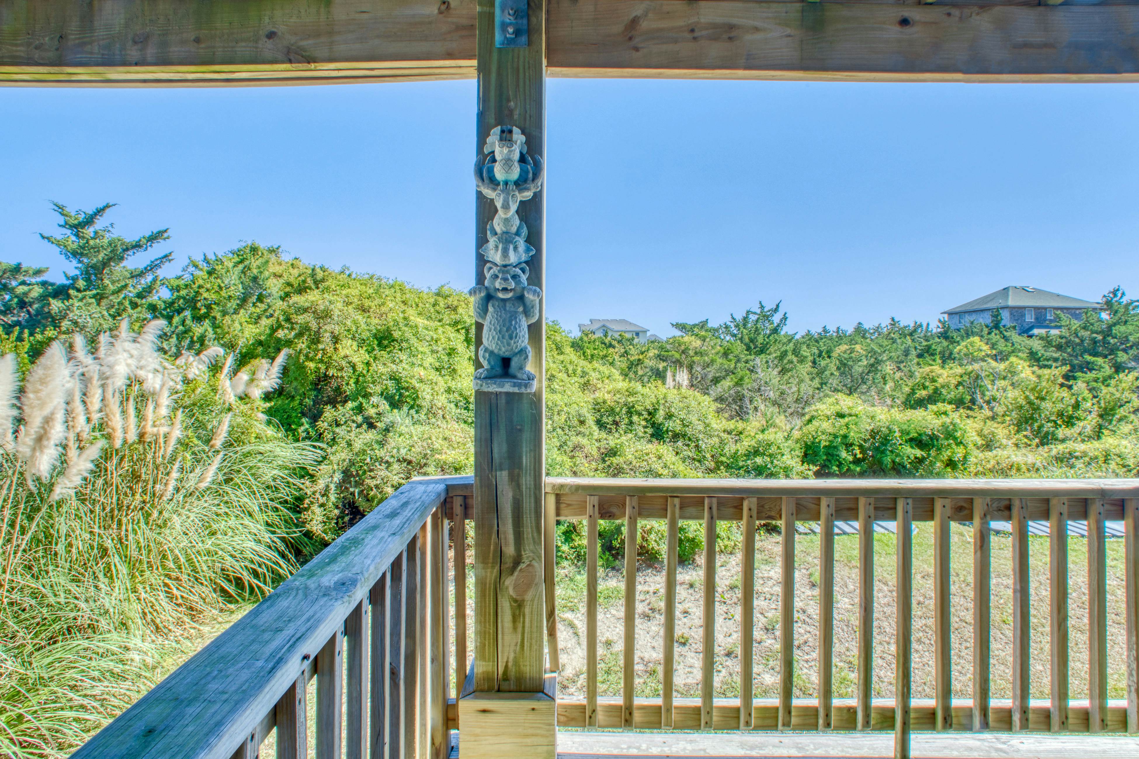 SO718 Lion in the Sun