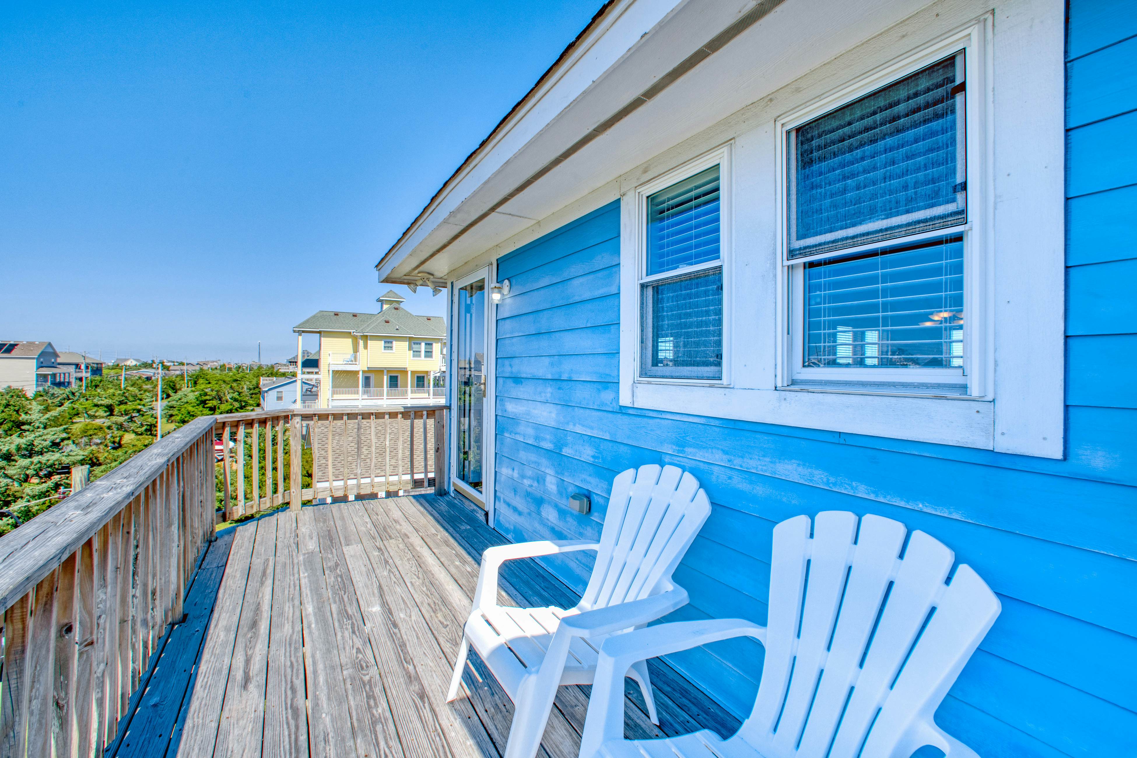 SO718 Lion in the Sun