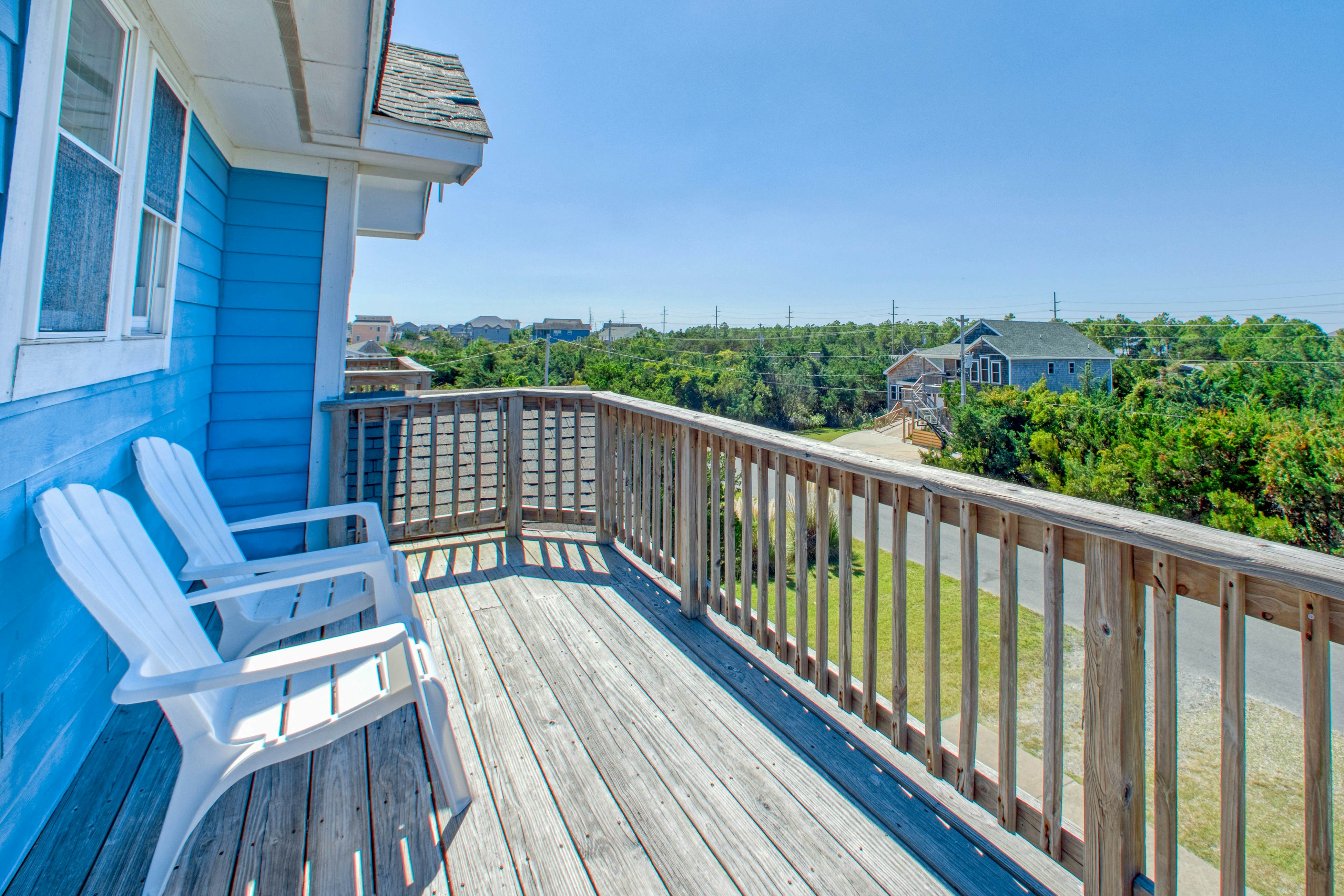 SO718 Lion in the Sun