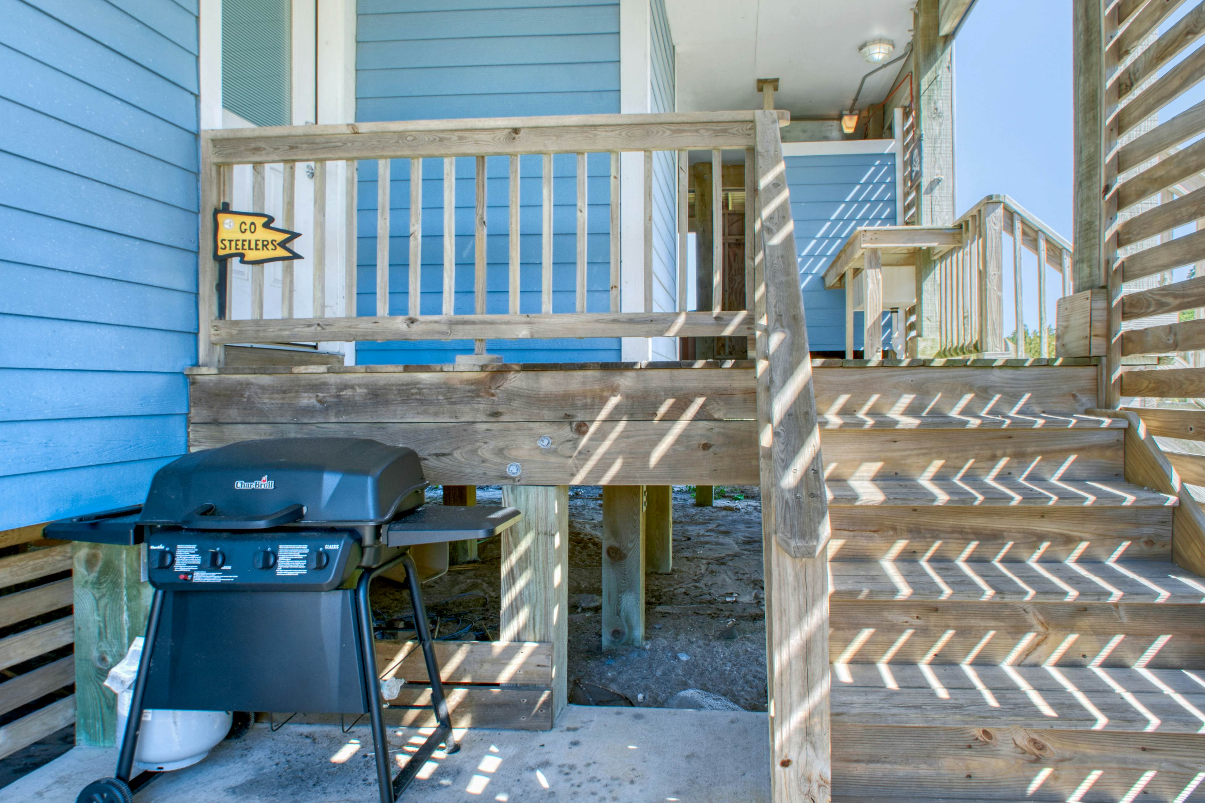 SO718 Lion in the Sun