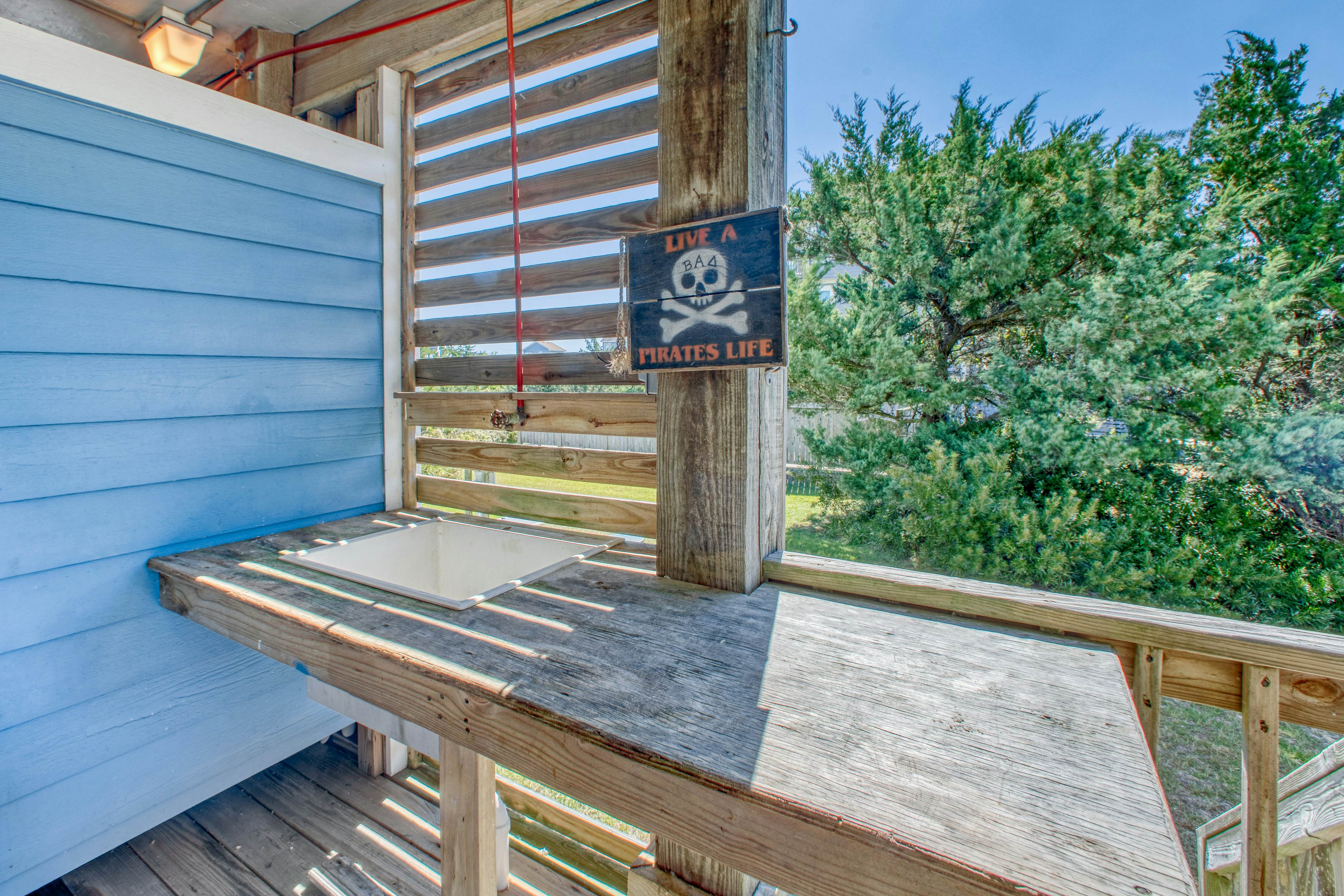 SO718 Lion in the Sun