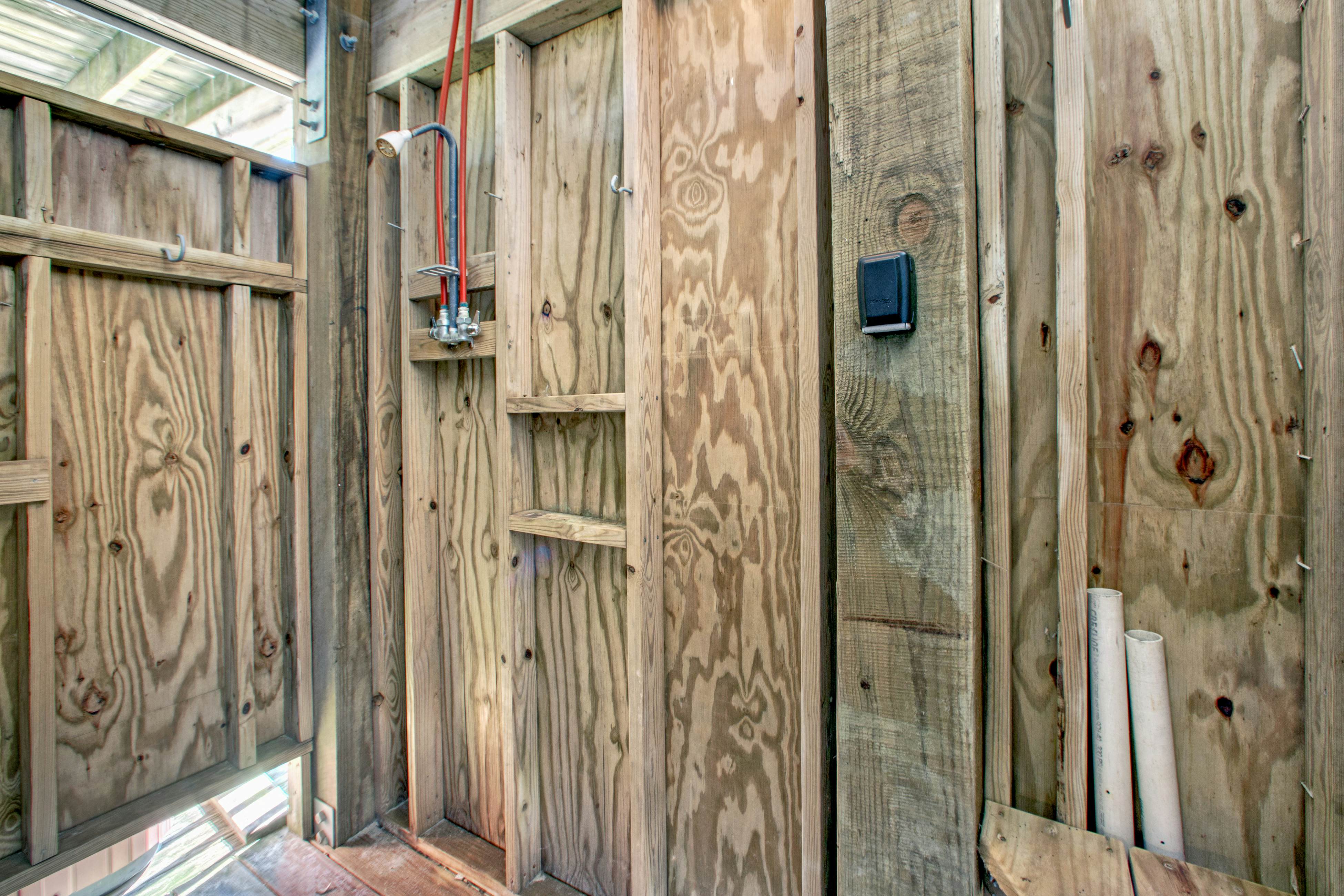 SO718 Lion in the Sun