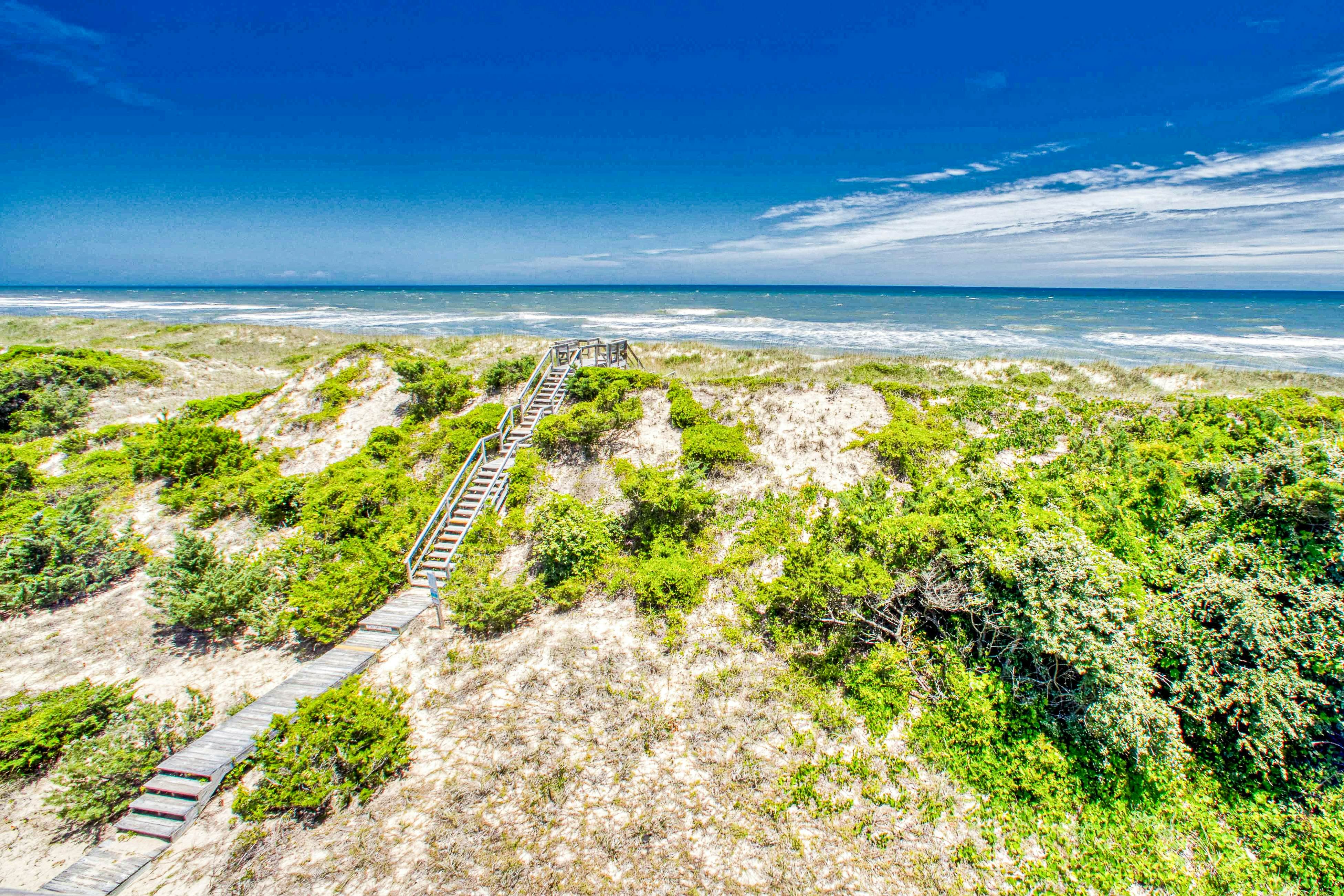 AV126 Doc Holiday 126