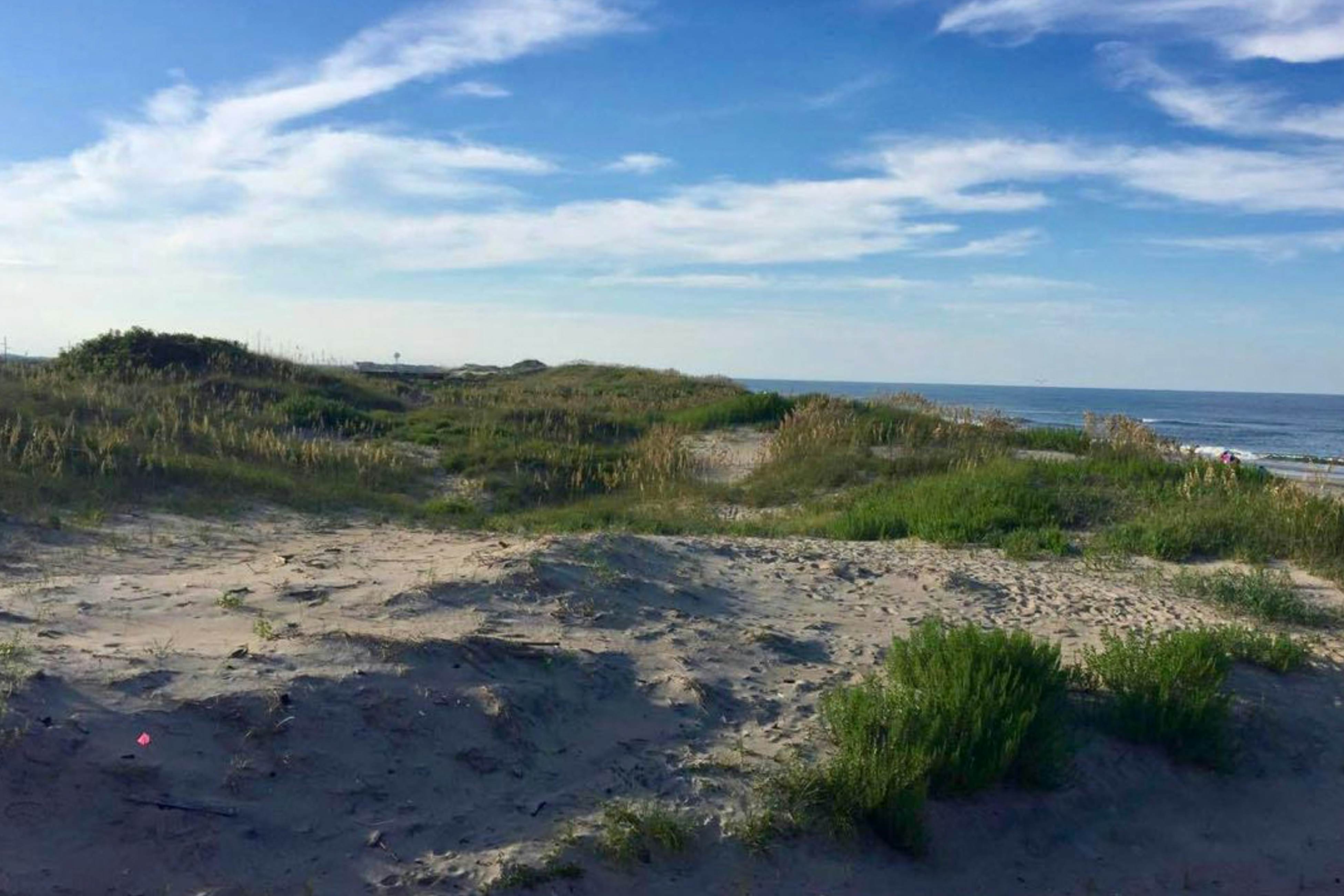 HADS833 About Time 833 #107DS-H