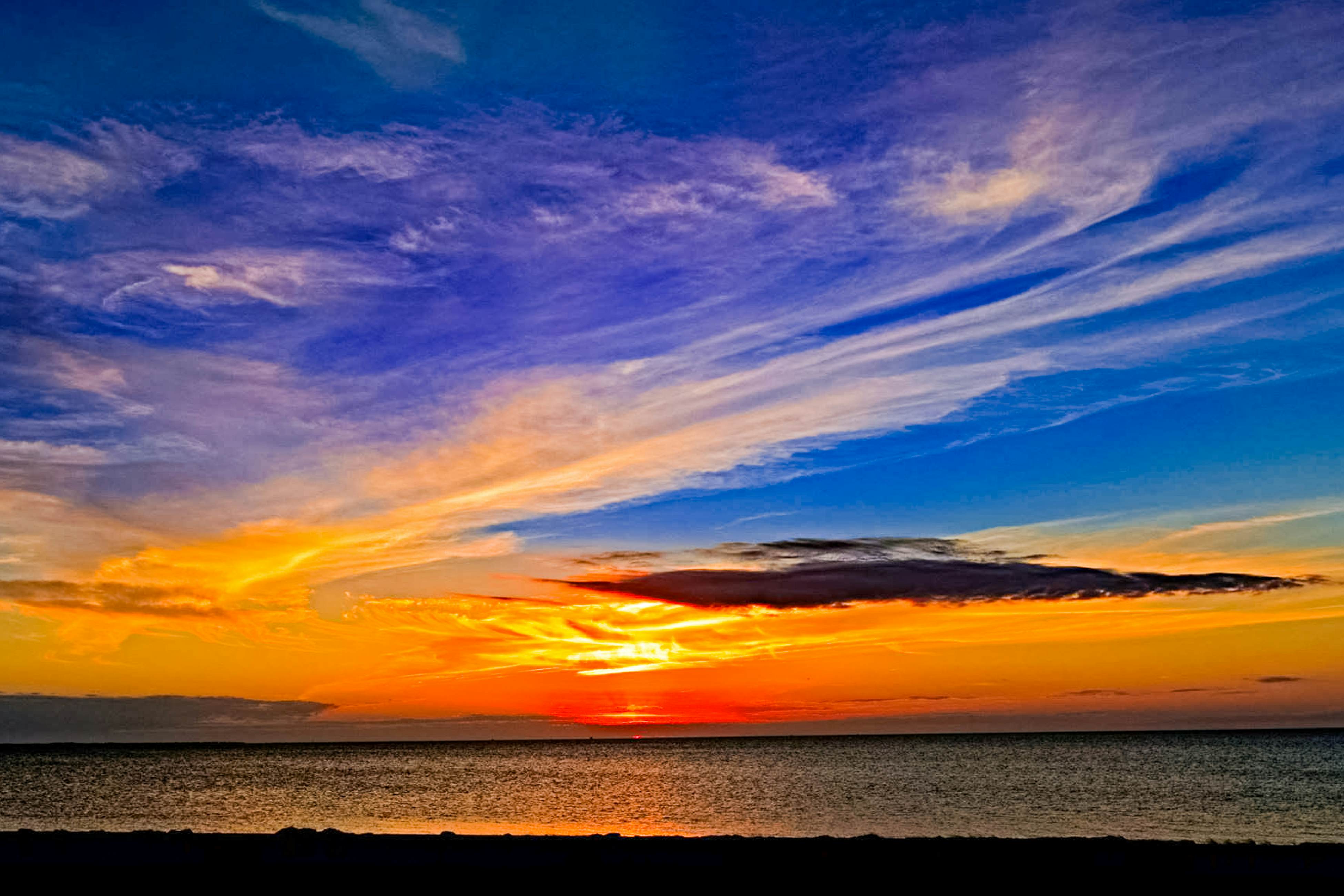 AV55 Far Horizons 55