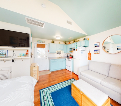 HAODC4 Carolina Lady