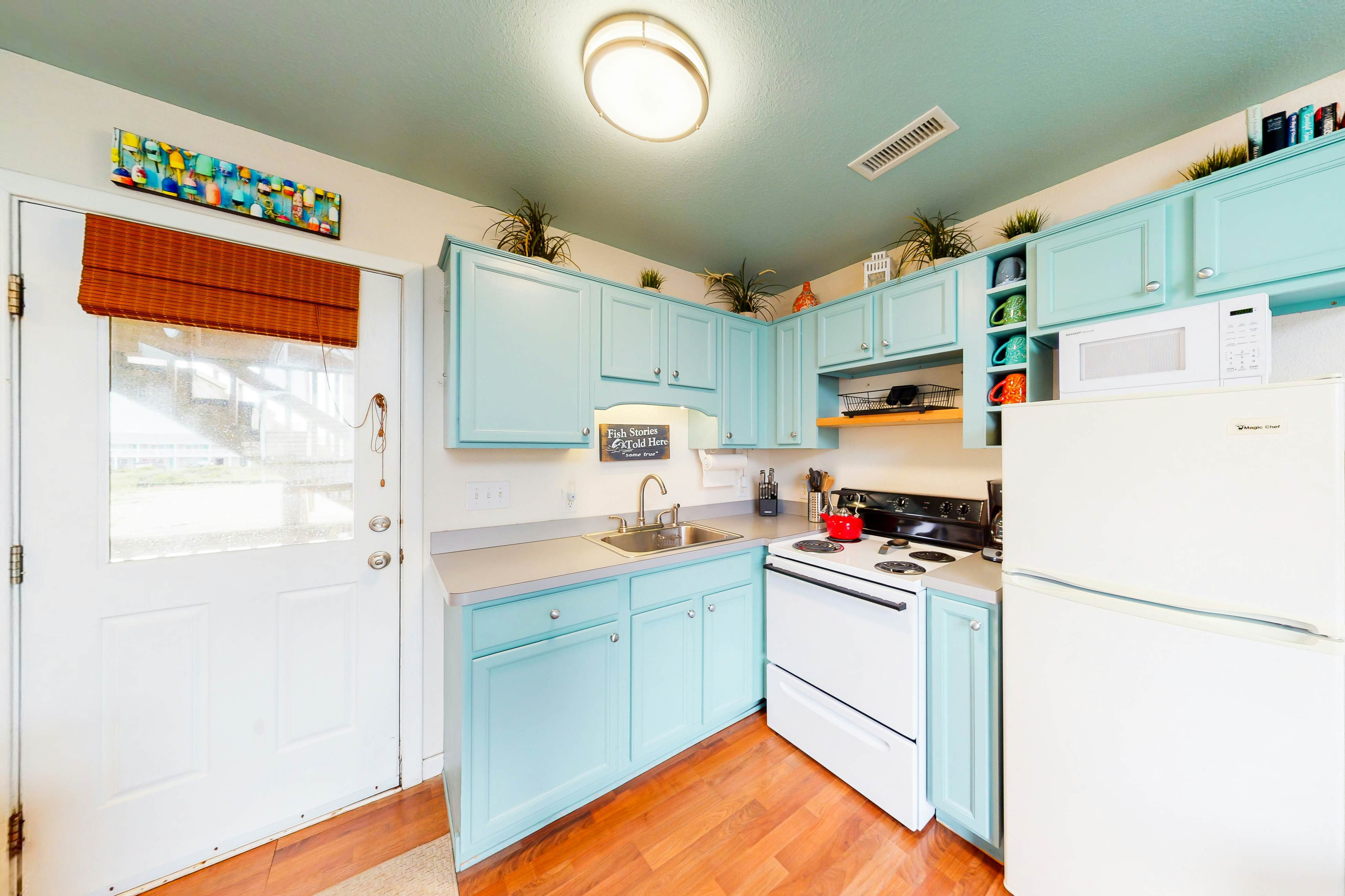 HAODC4 Carolina Lady