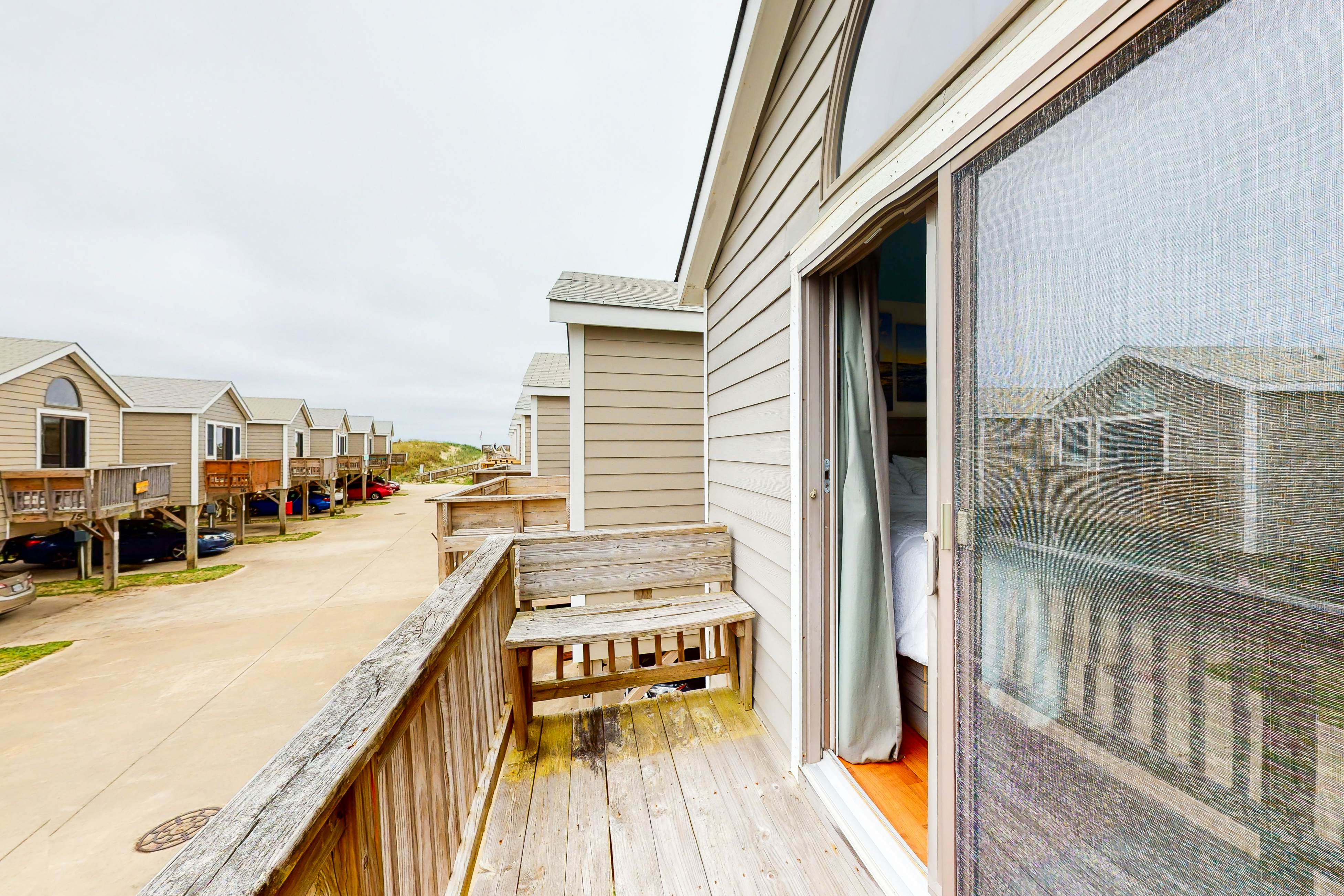 HAODC4 Carolina Lady