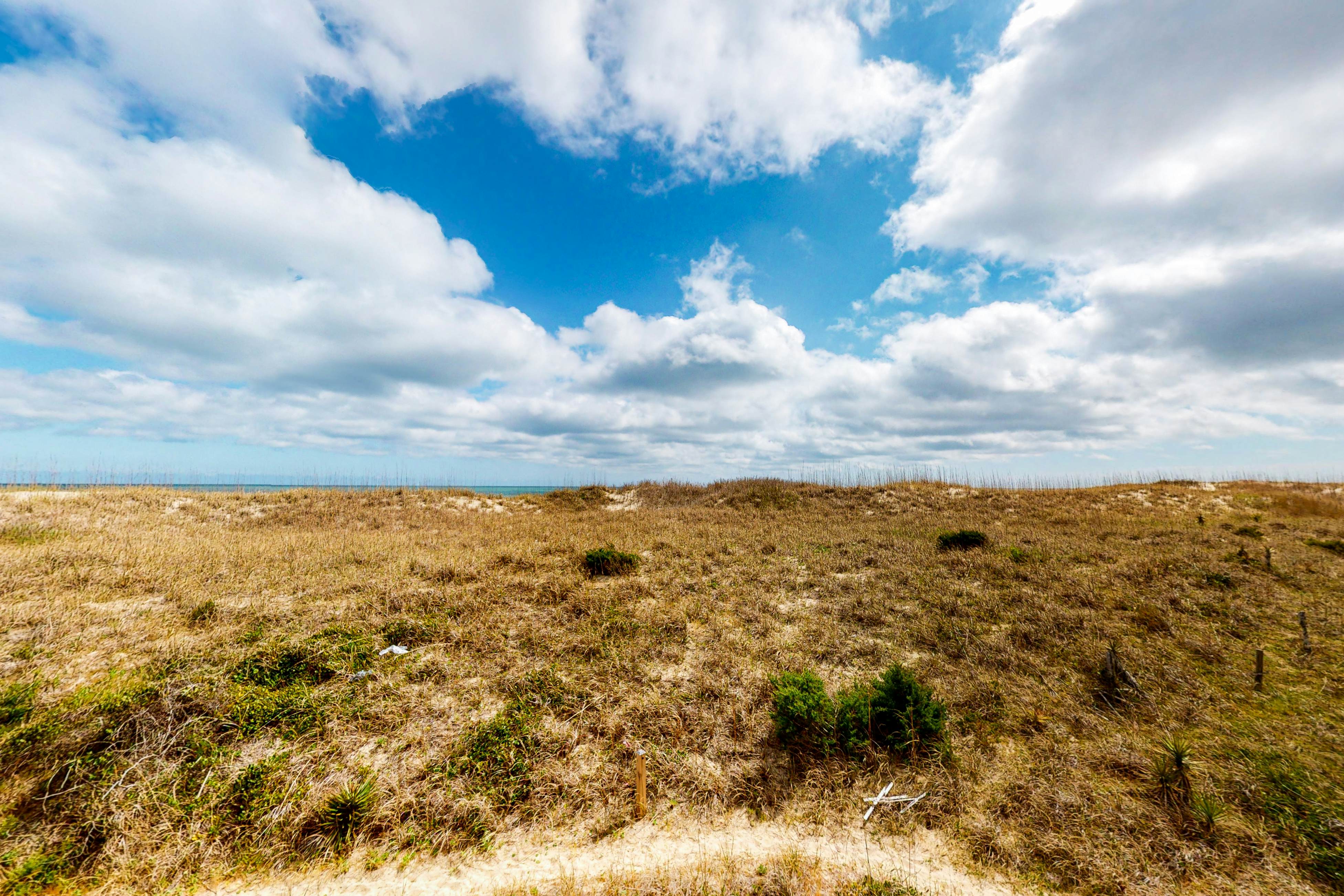 FOSF11 St Somewhere  11 F