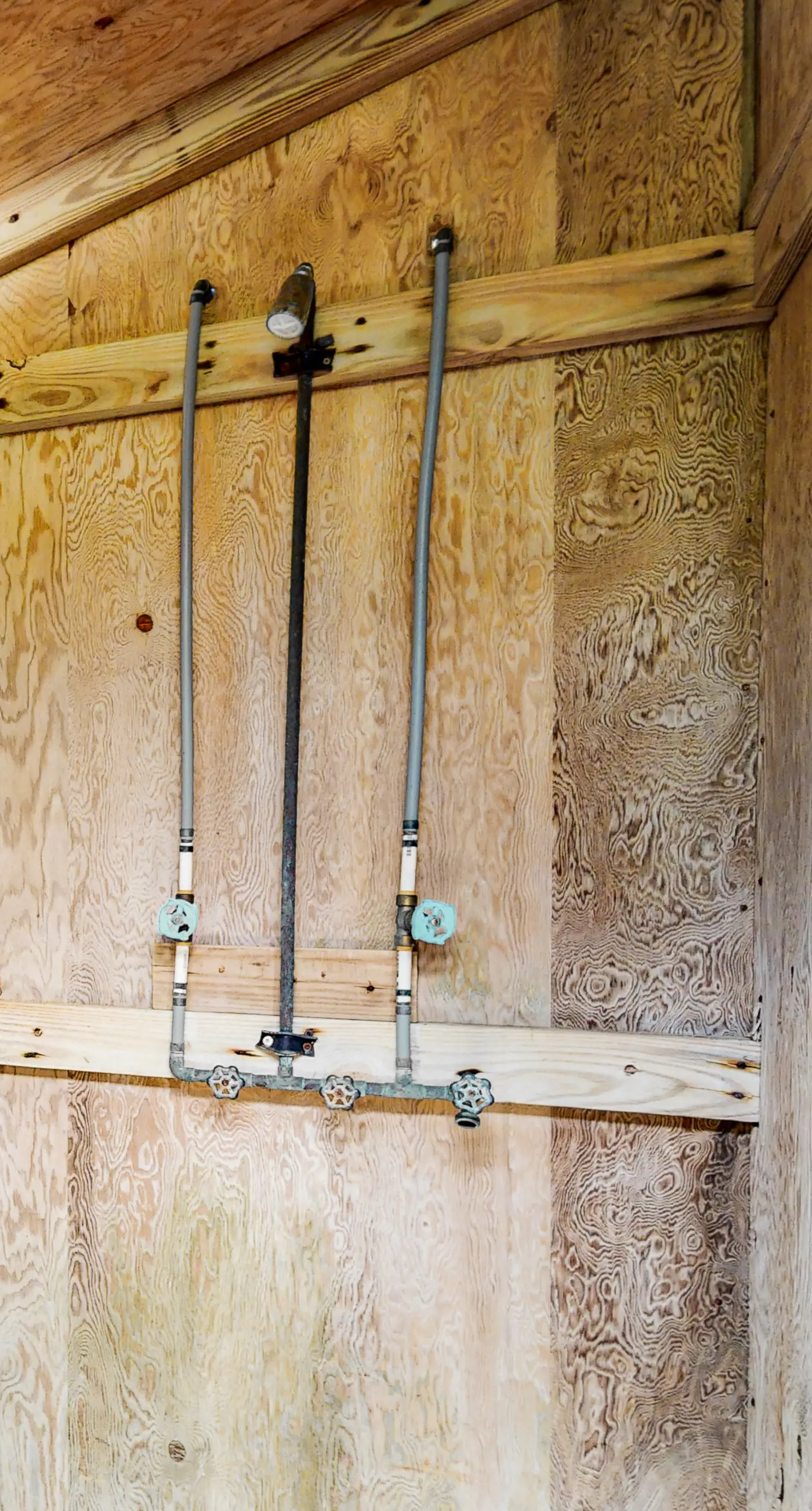 FOBB78 Brooks Island Refuge #78-F