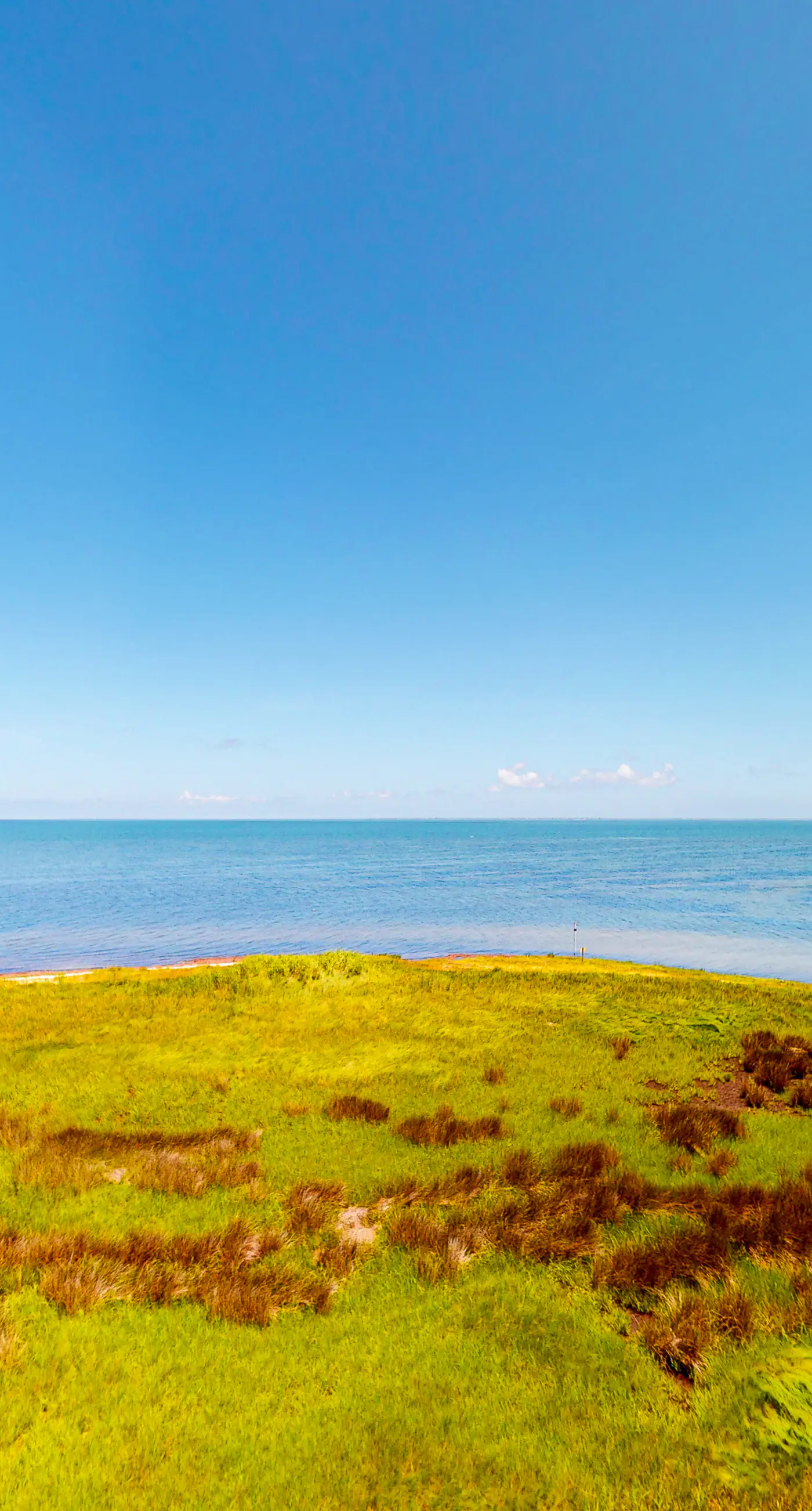 FOBB78 Brooks Island Refuge #78-F