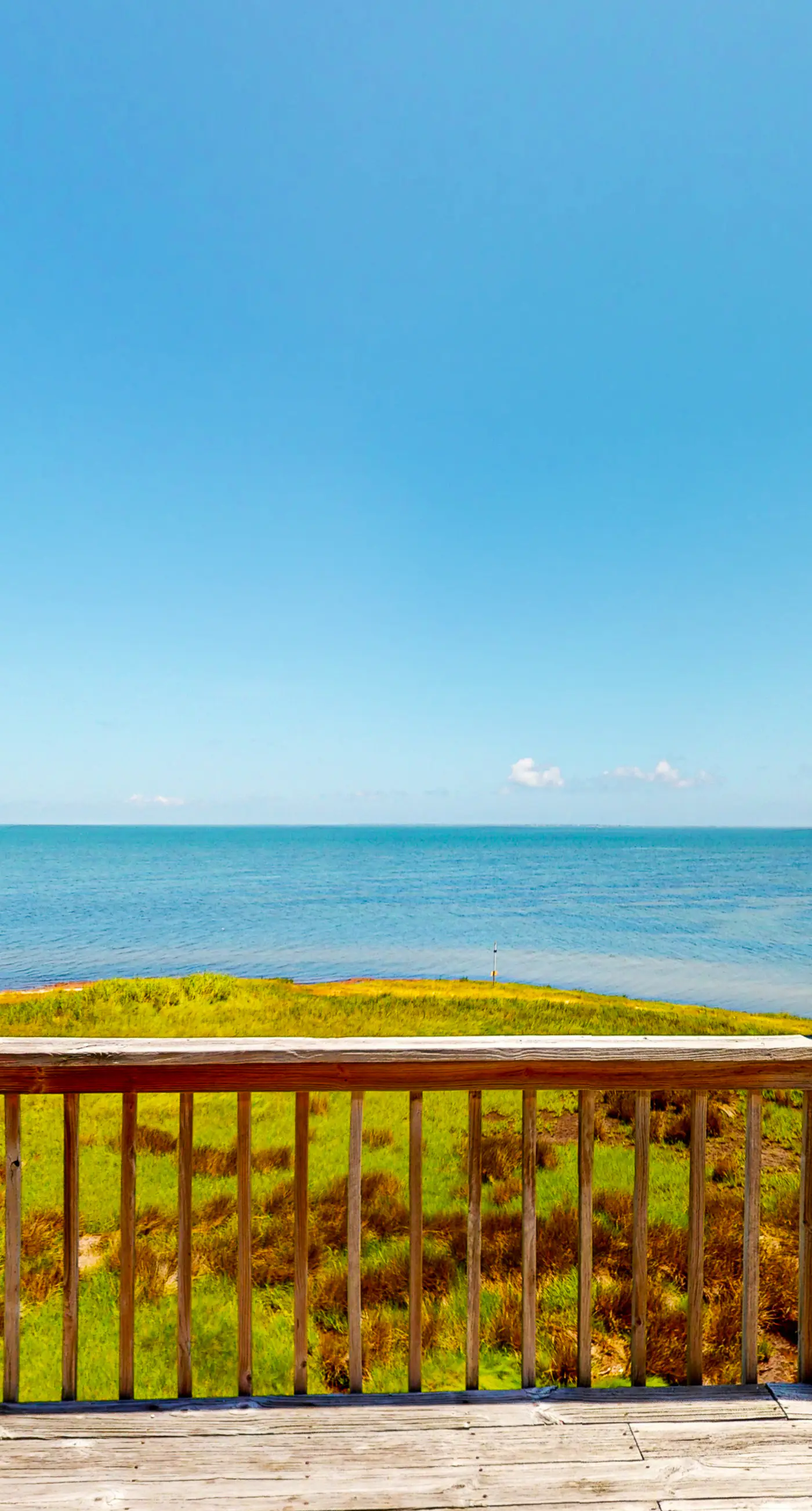 FOBB78 Brooks Island Refuge #78-F