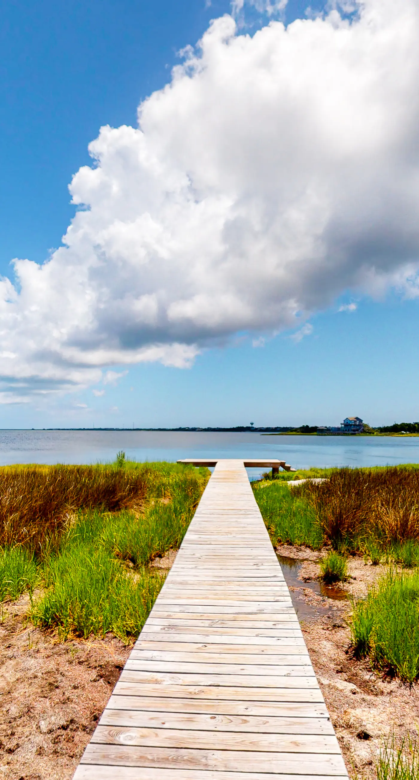 FOBB78 Brooks Island Refuge #78-F