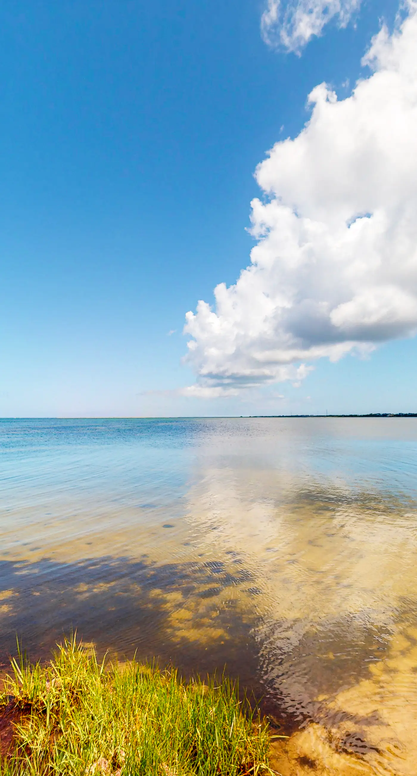 FOBB78 Brooks Island Refuge #78-F