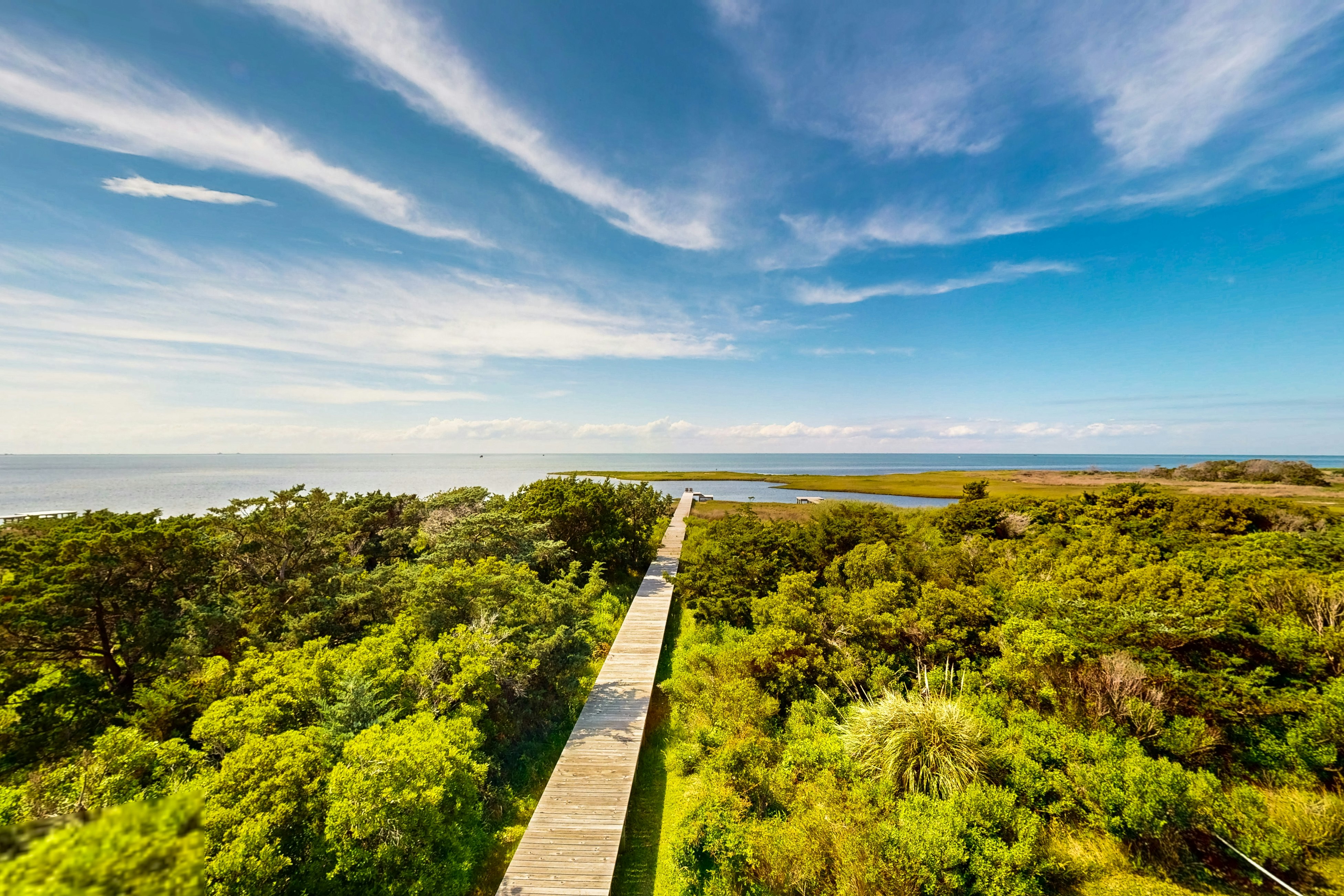 FOSS34 Banana Wind #34-F