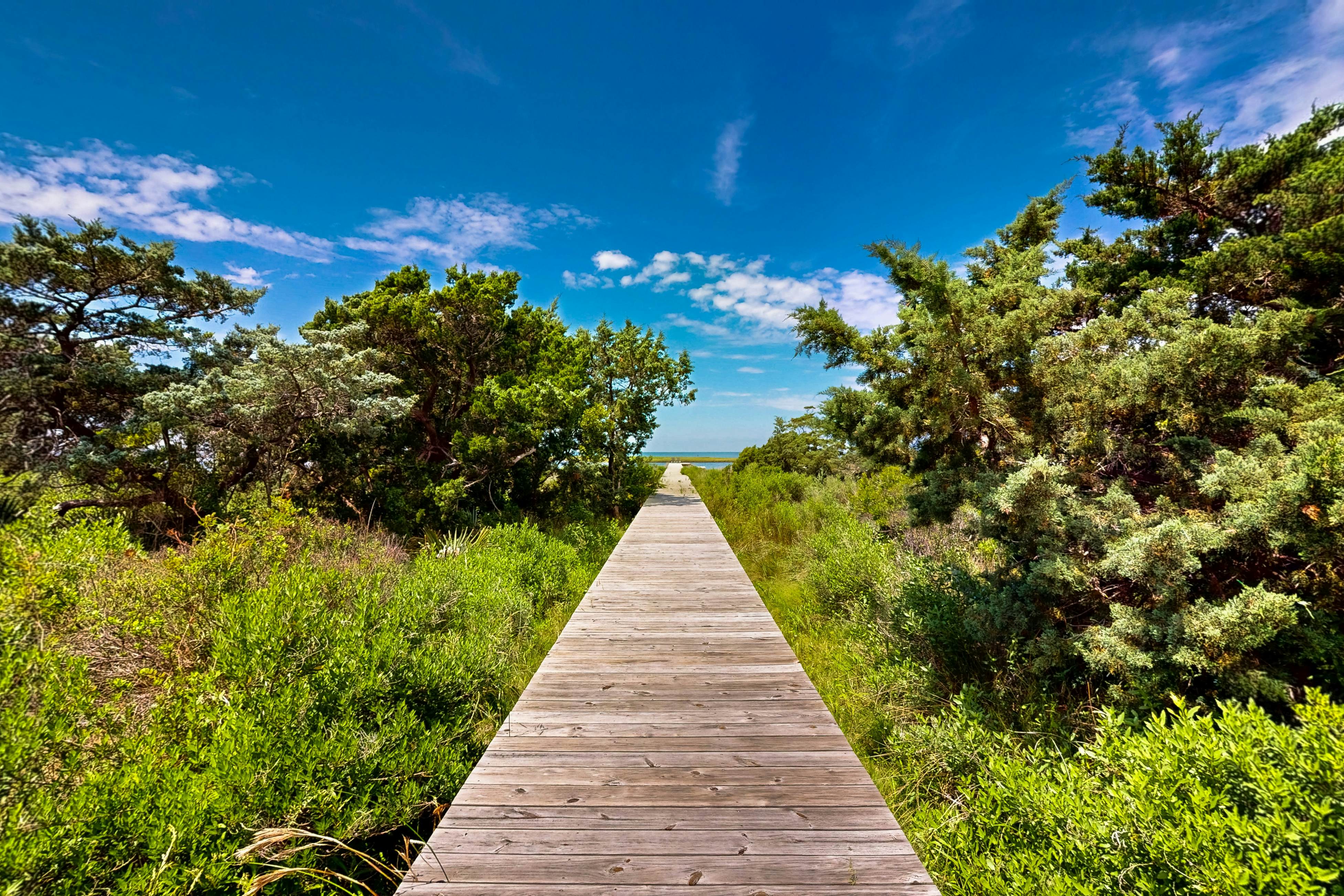 FOSS34 Banana Wind #34-F