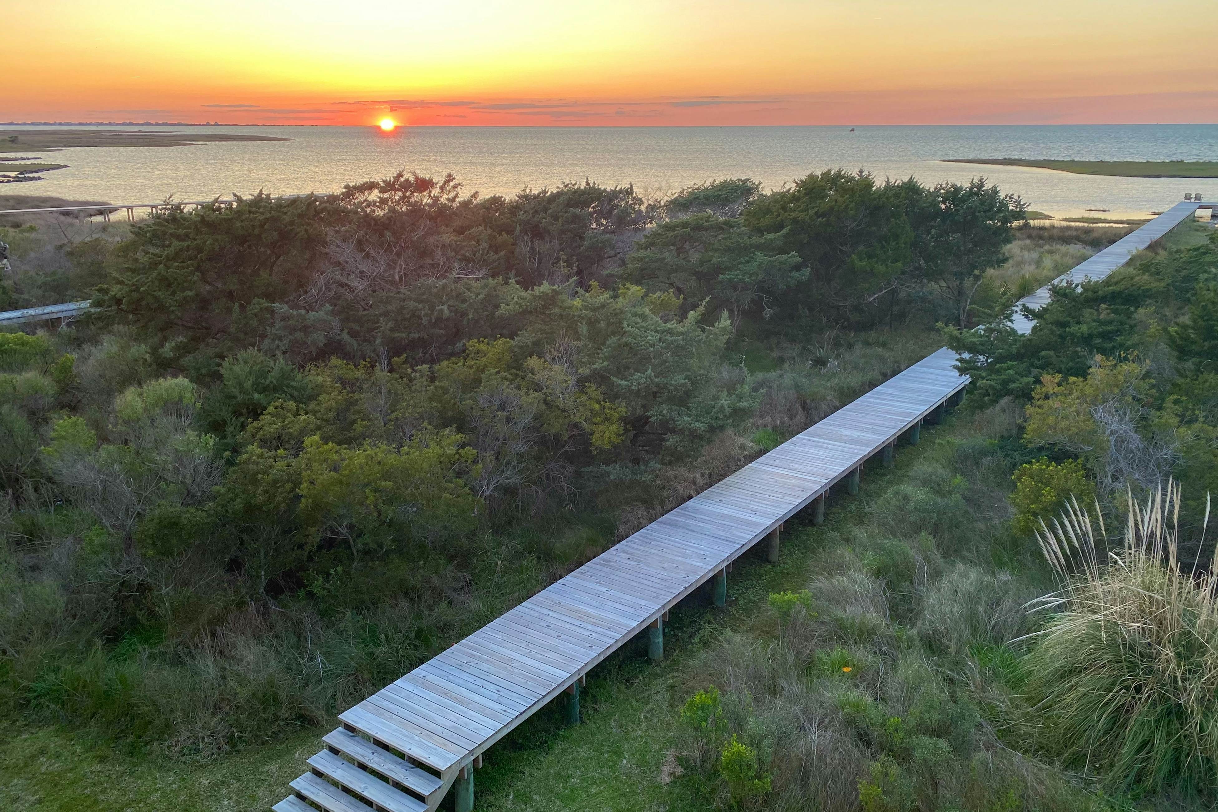 FOSS34 Banana Wind #34-F