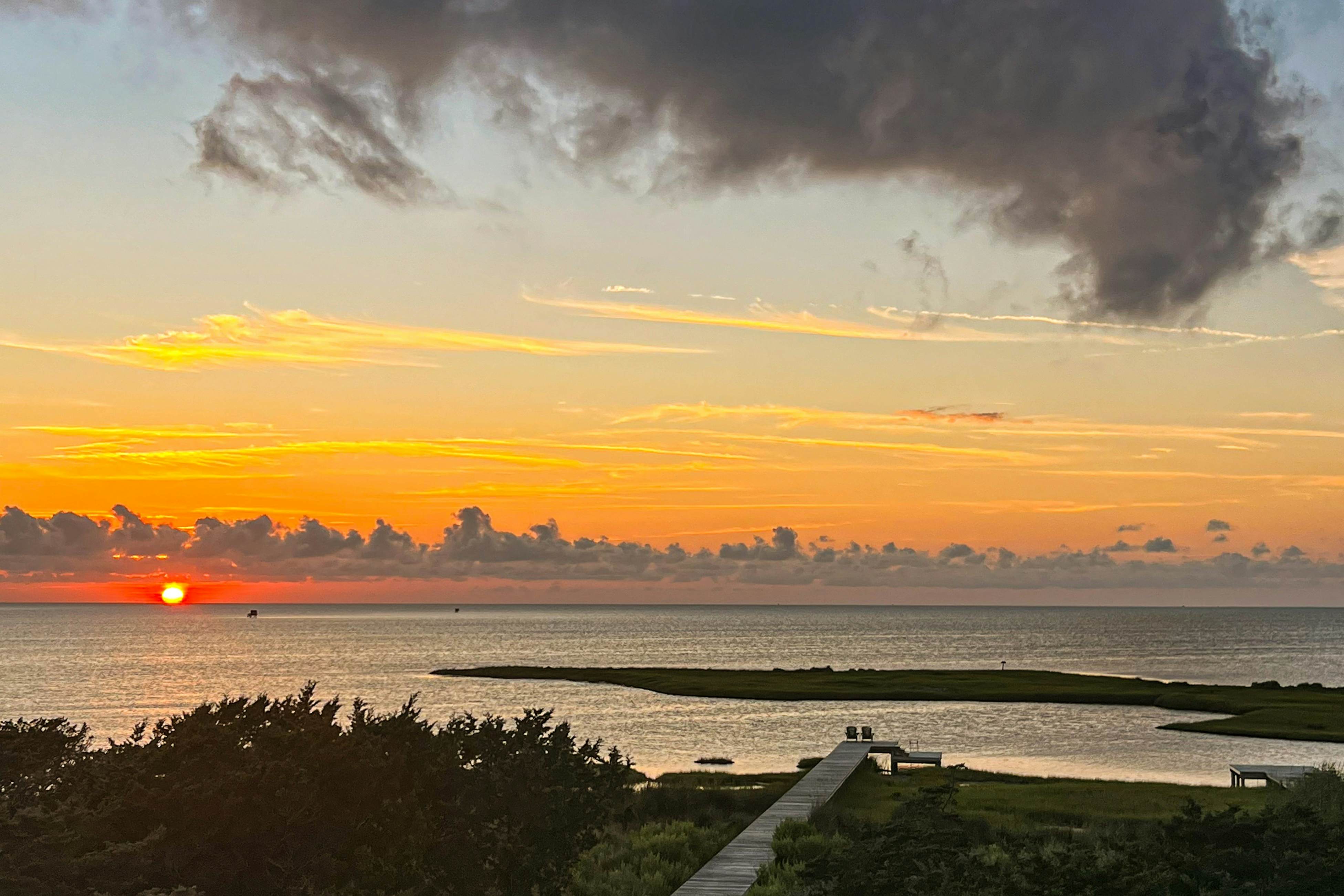 FOSS34 Banana Wind #34-F