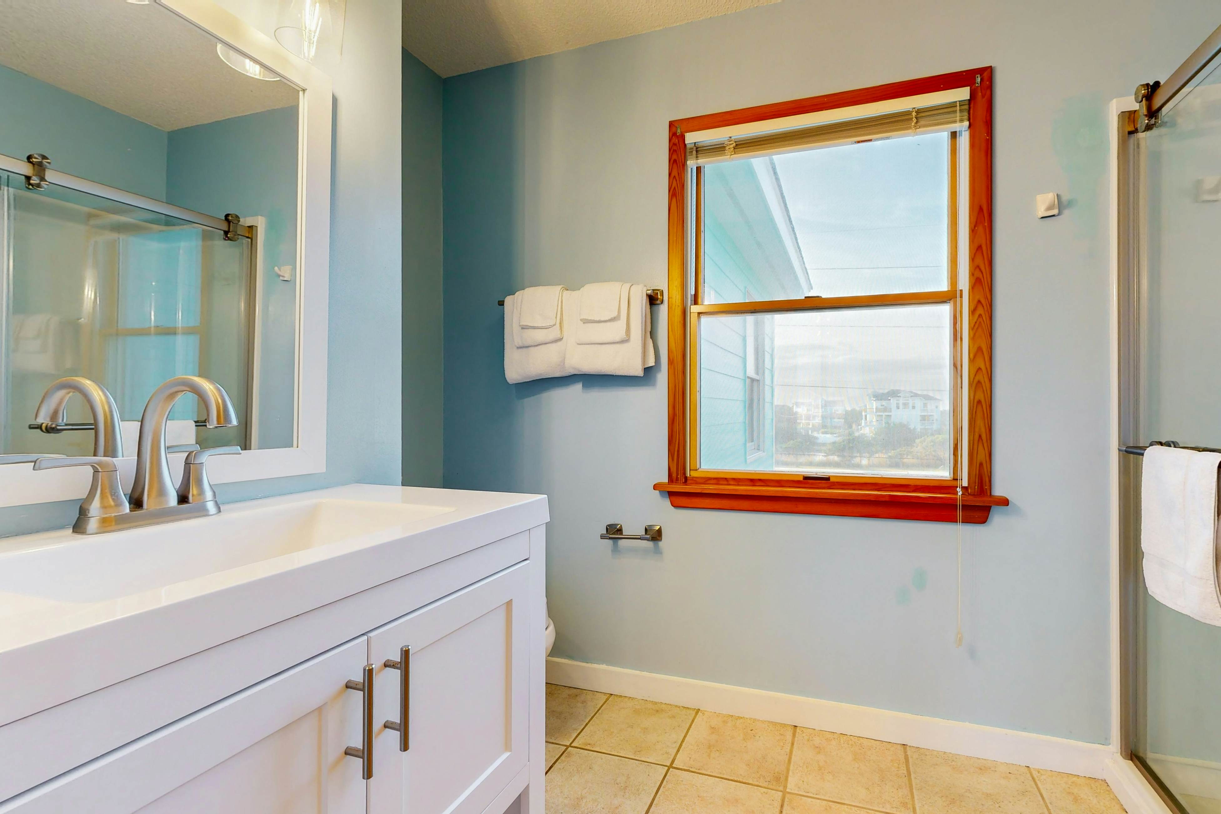 AVKS535 Dolphin Dreams