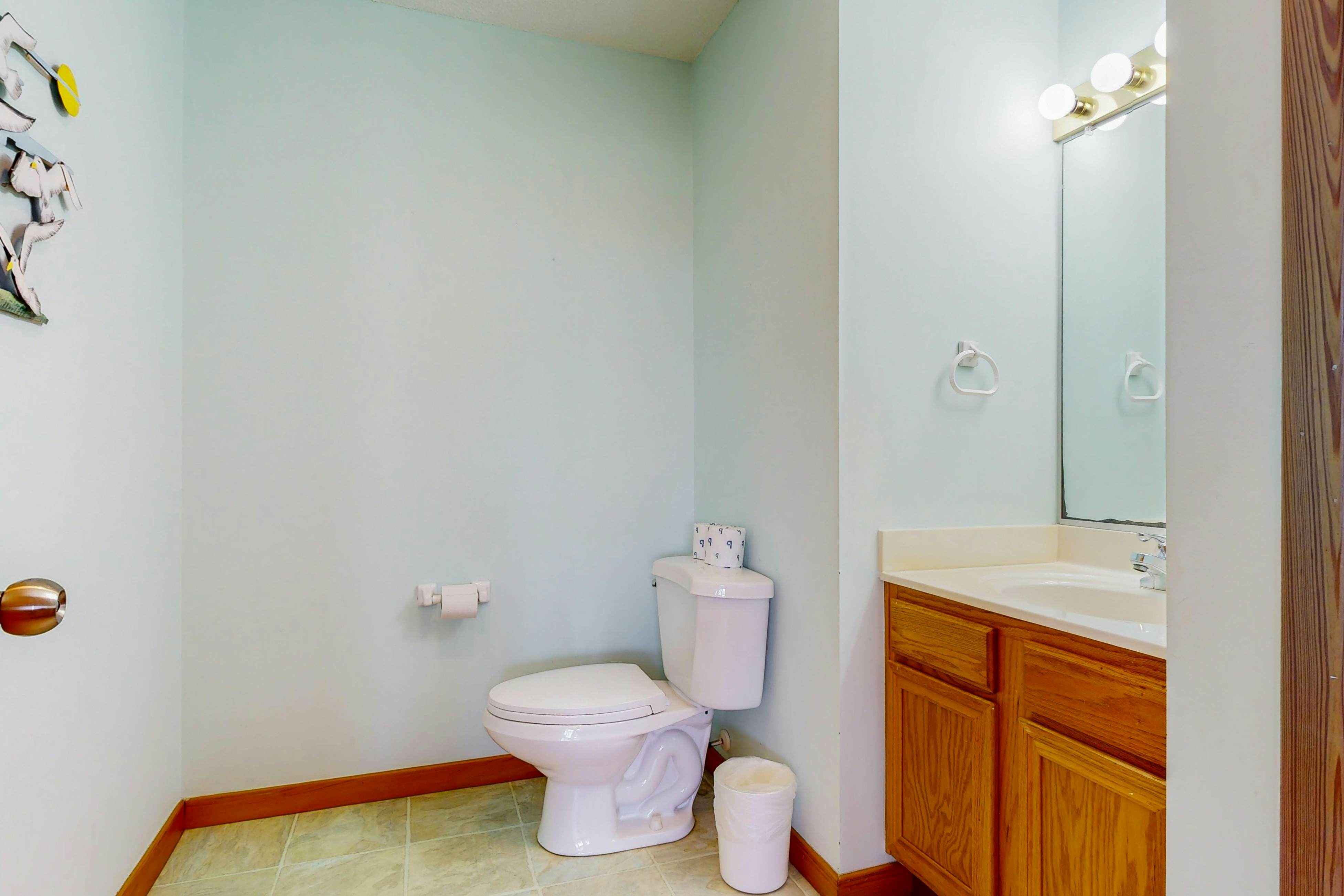 AVKS535 Dolphin Dreams