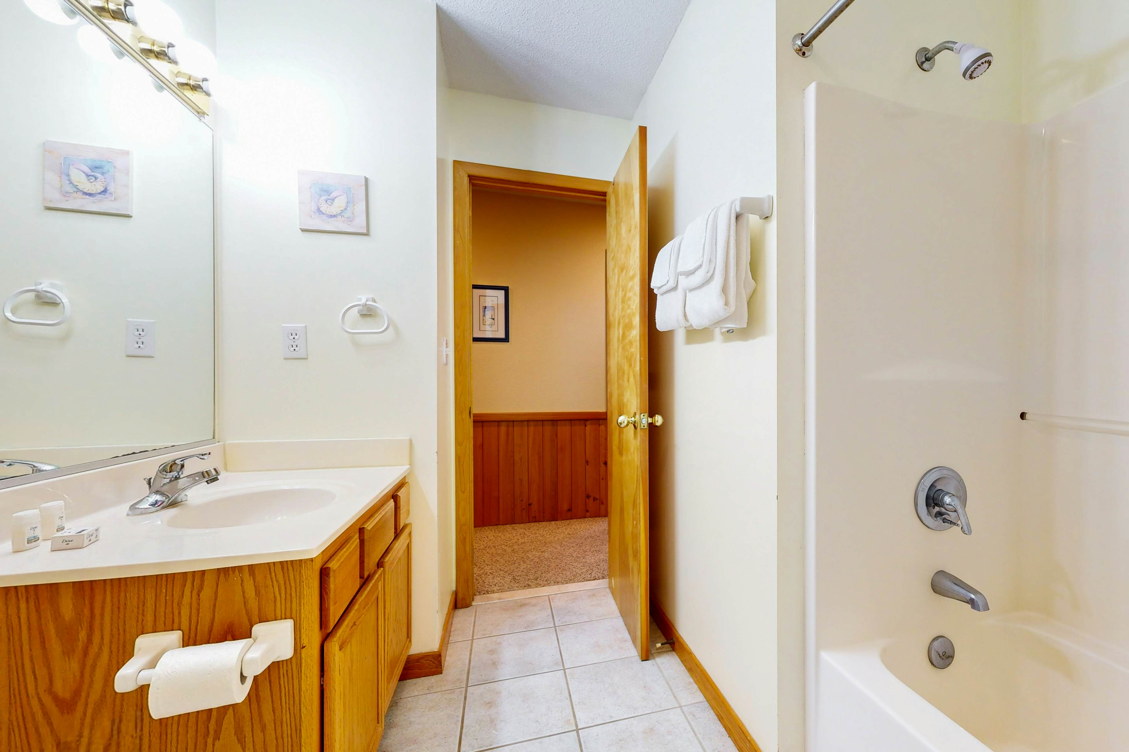 AVKS535 Dolphin Dreams