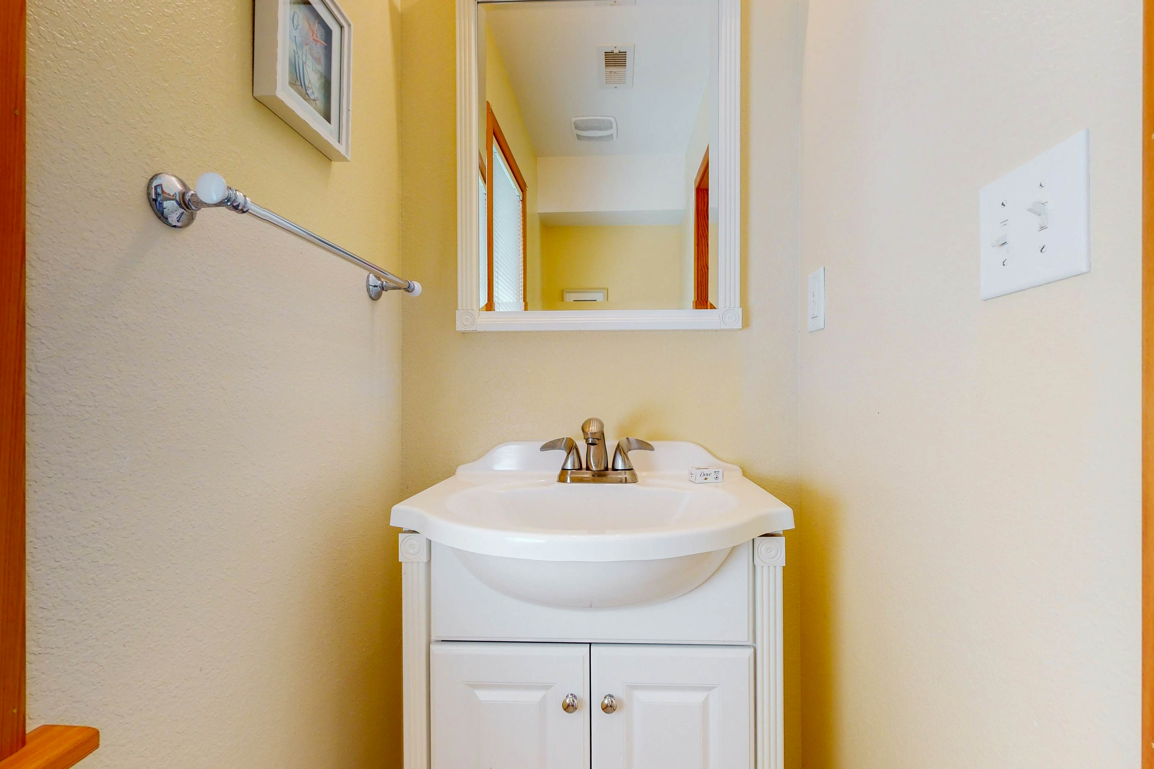 AVKS535 Dolphin Dreams