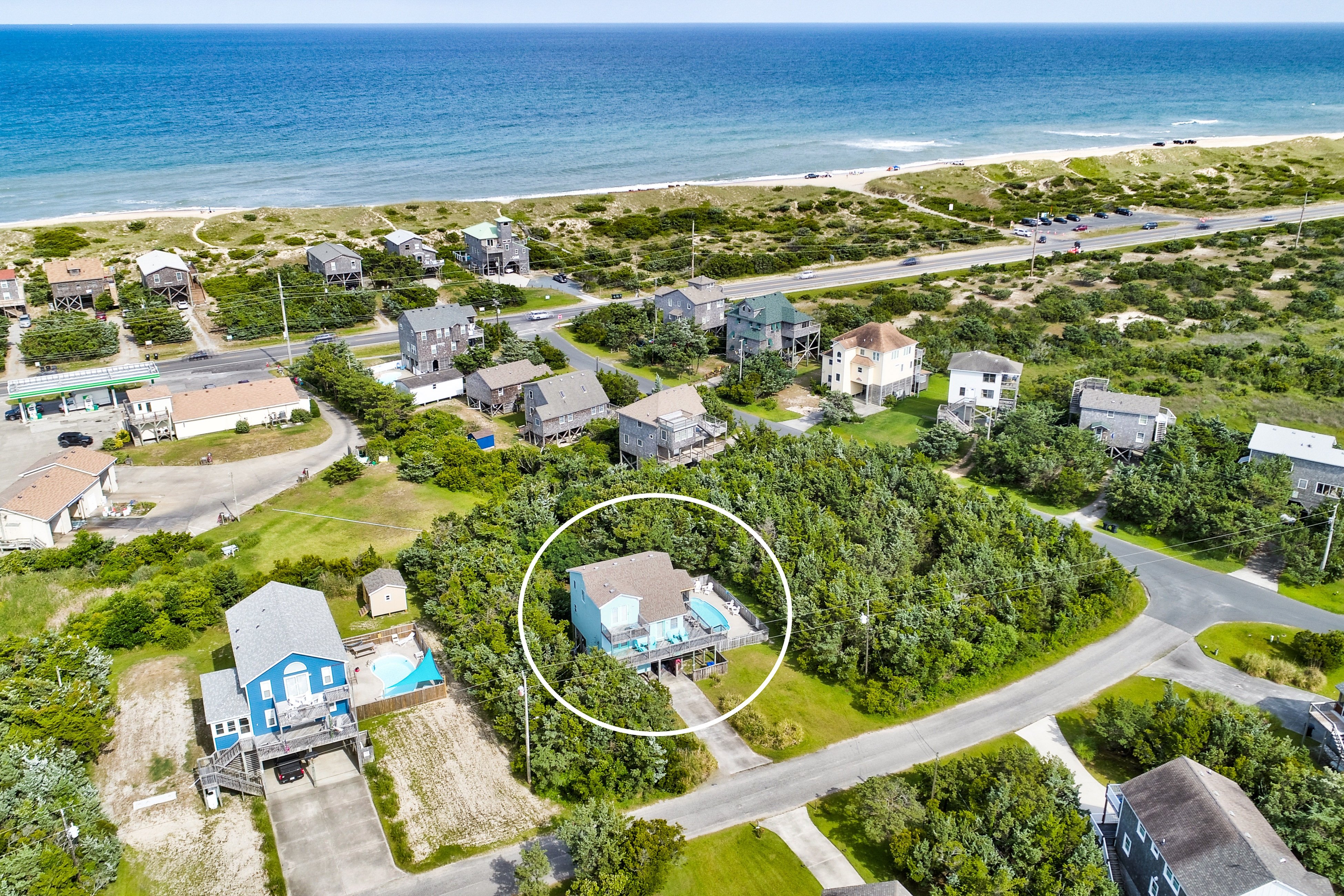 AV904 Sugar Bean Shack