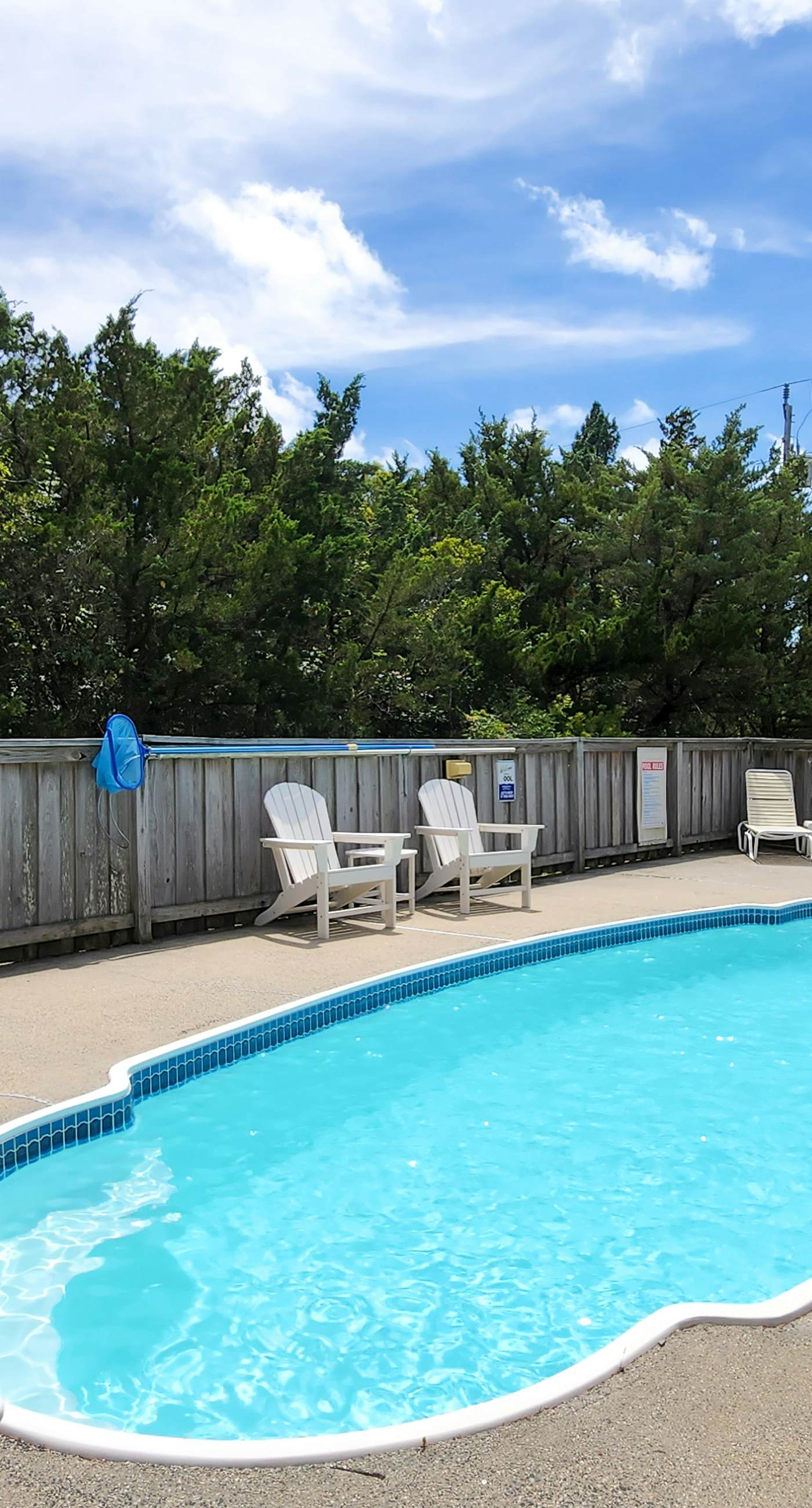 AV904 Sugar Bean Shack