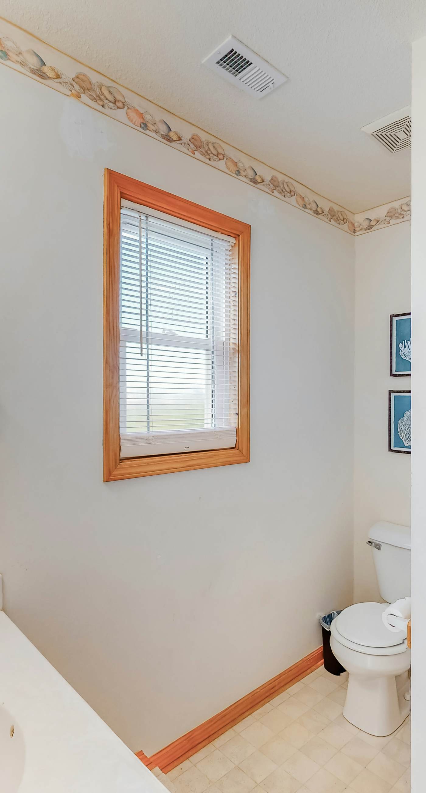 AV904 Sugar Bean Shack