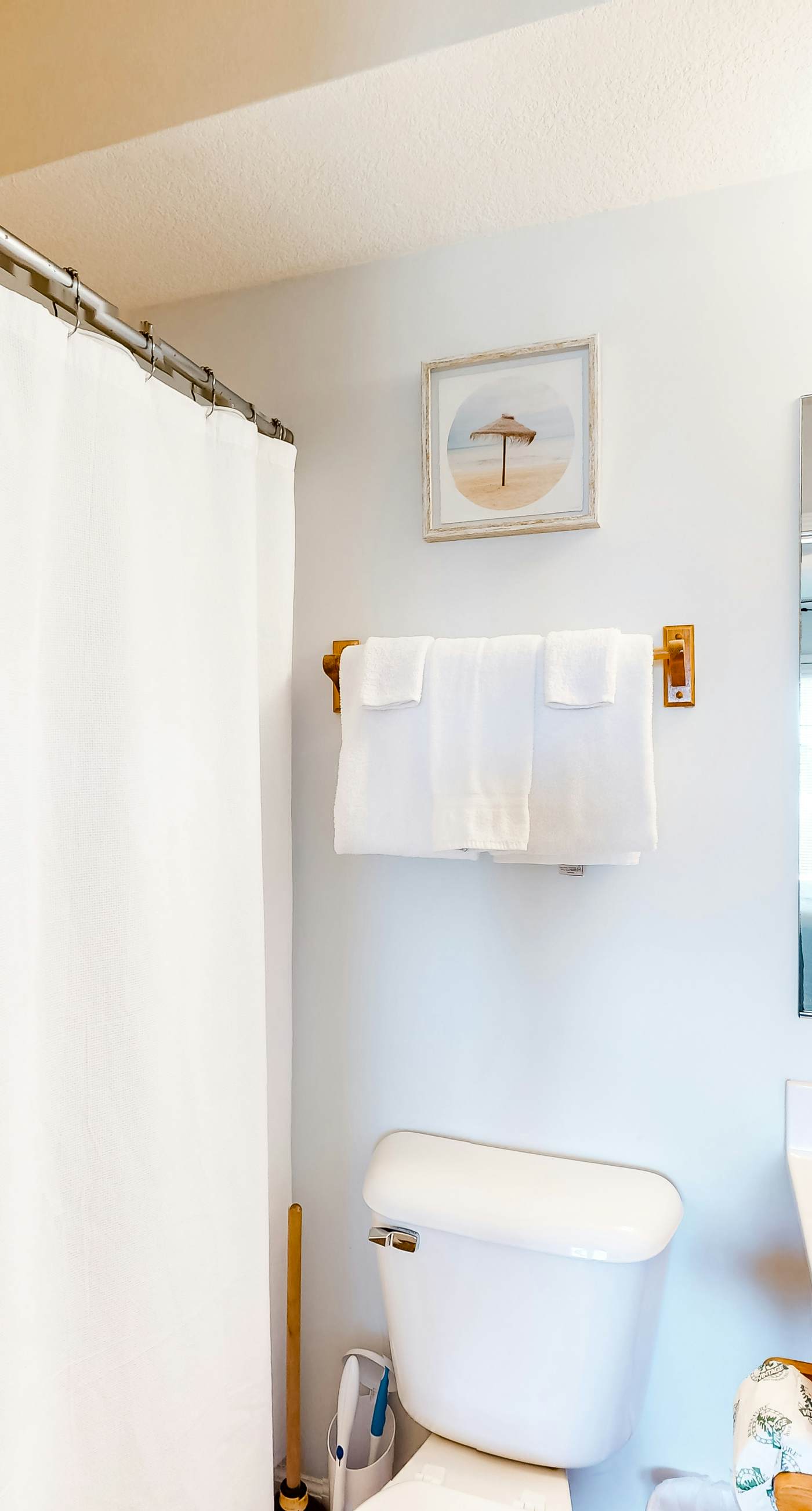 AV904 Sugar Bean Shack