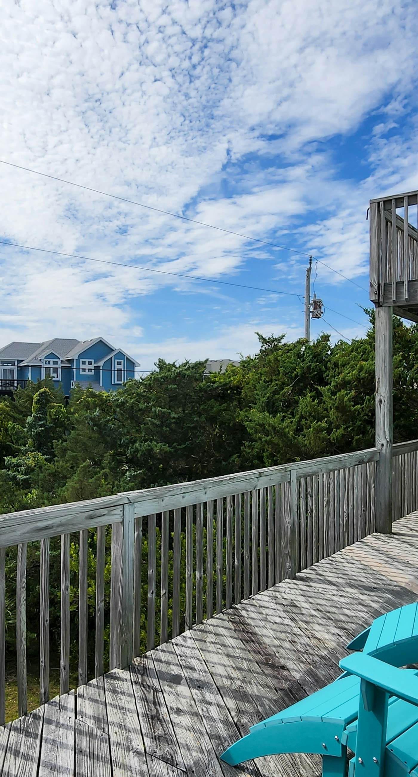 AV904 Sugar Bean Shack