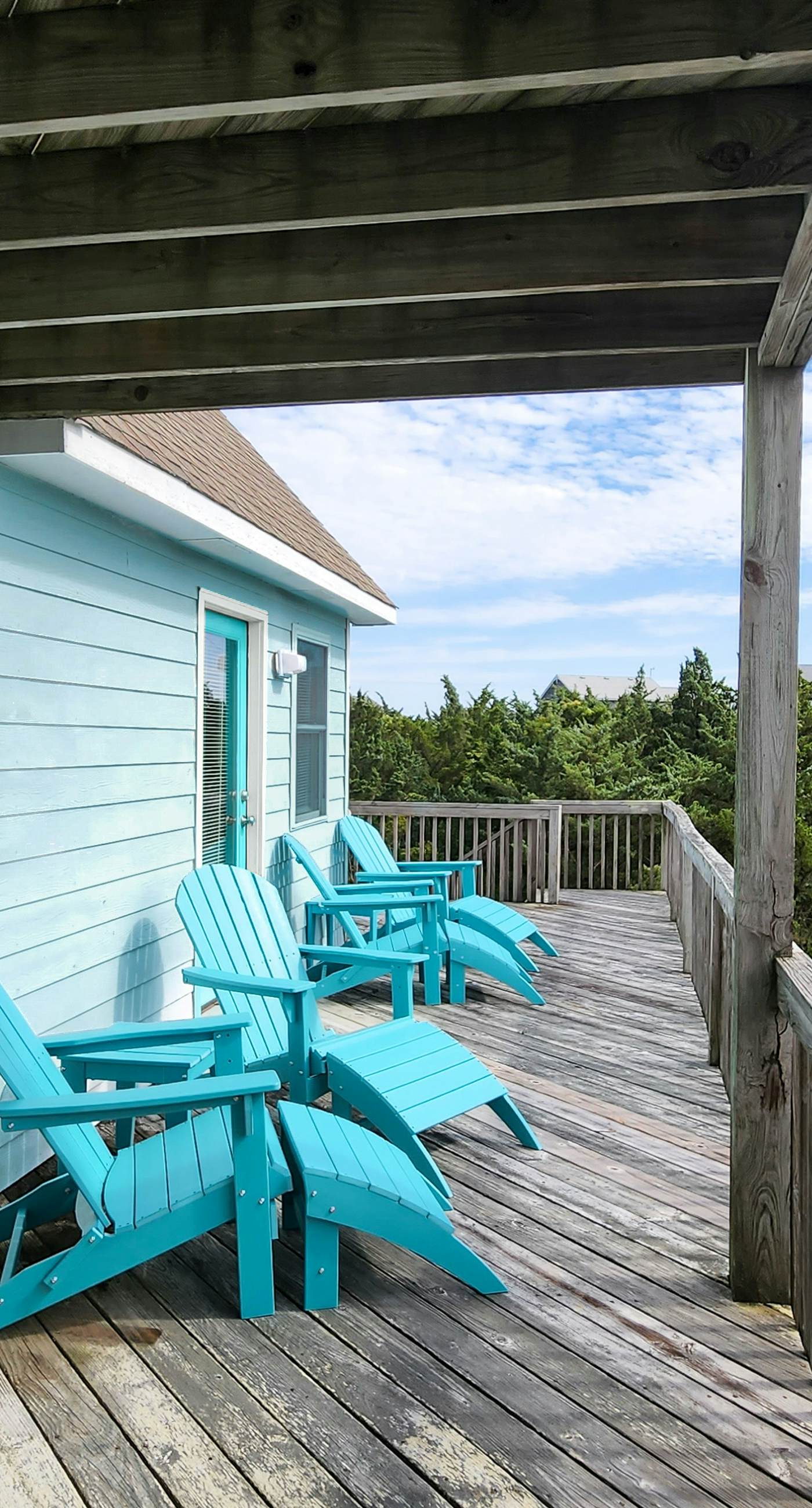 AV904 Sugar Bean Shack