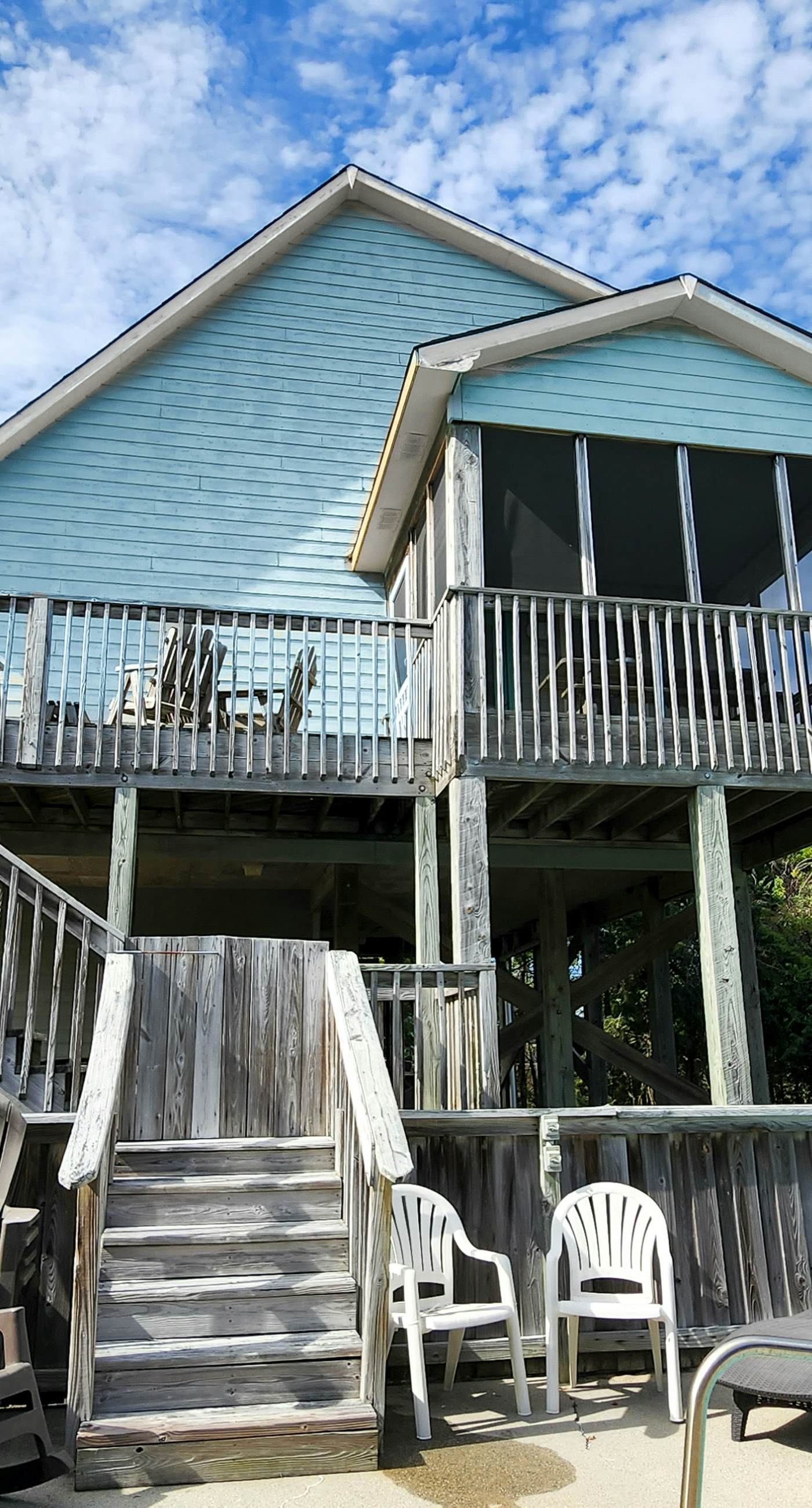 AV904 Sugar Bean Shack