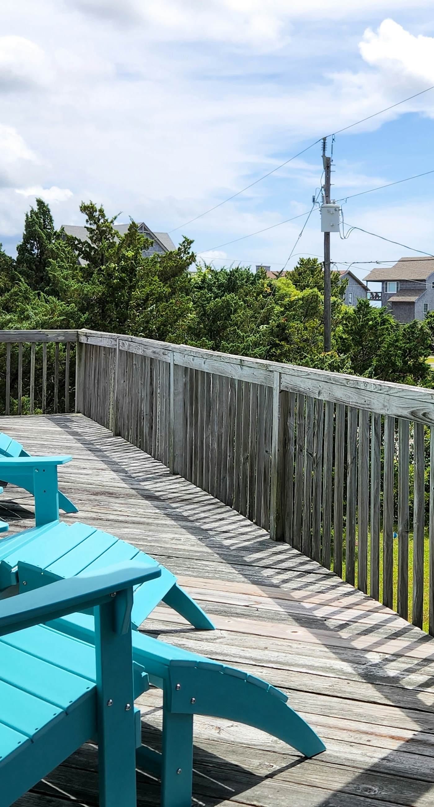 AV904 Sugar Bean Shack