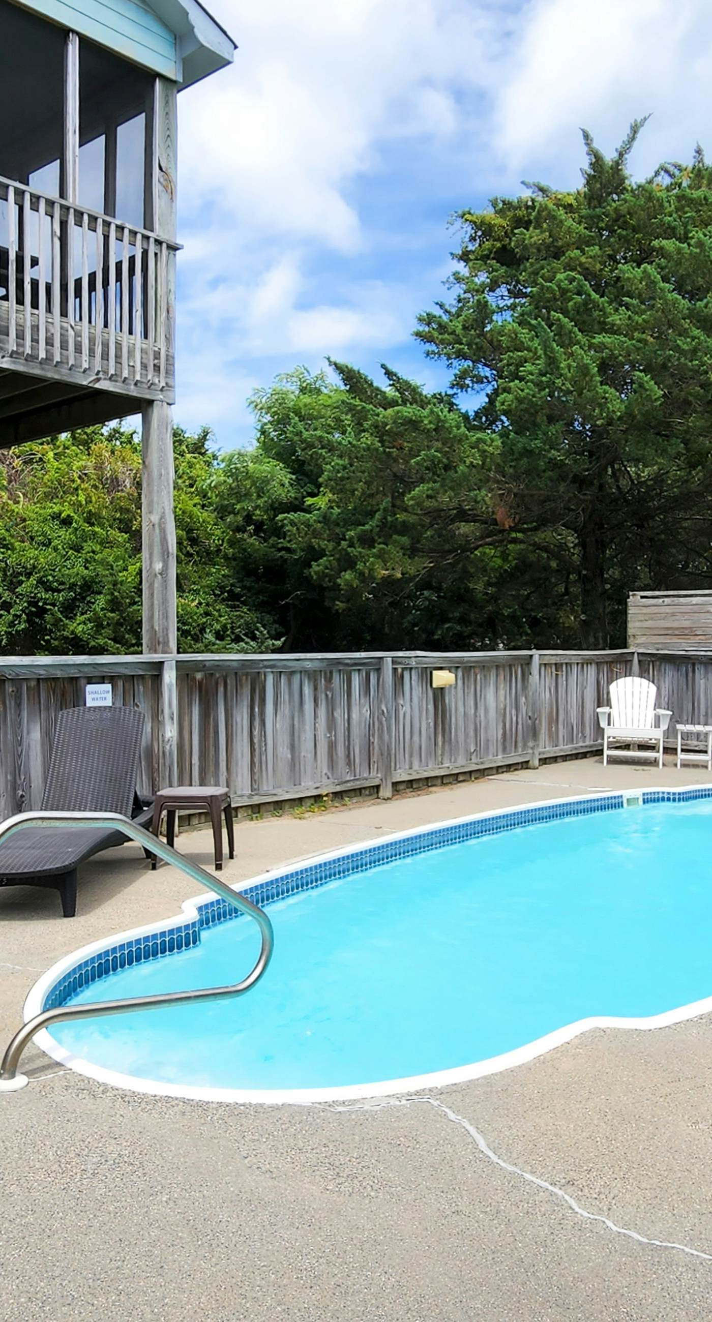 AV904 Sugar Bean Shack