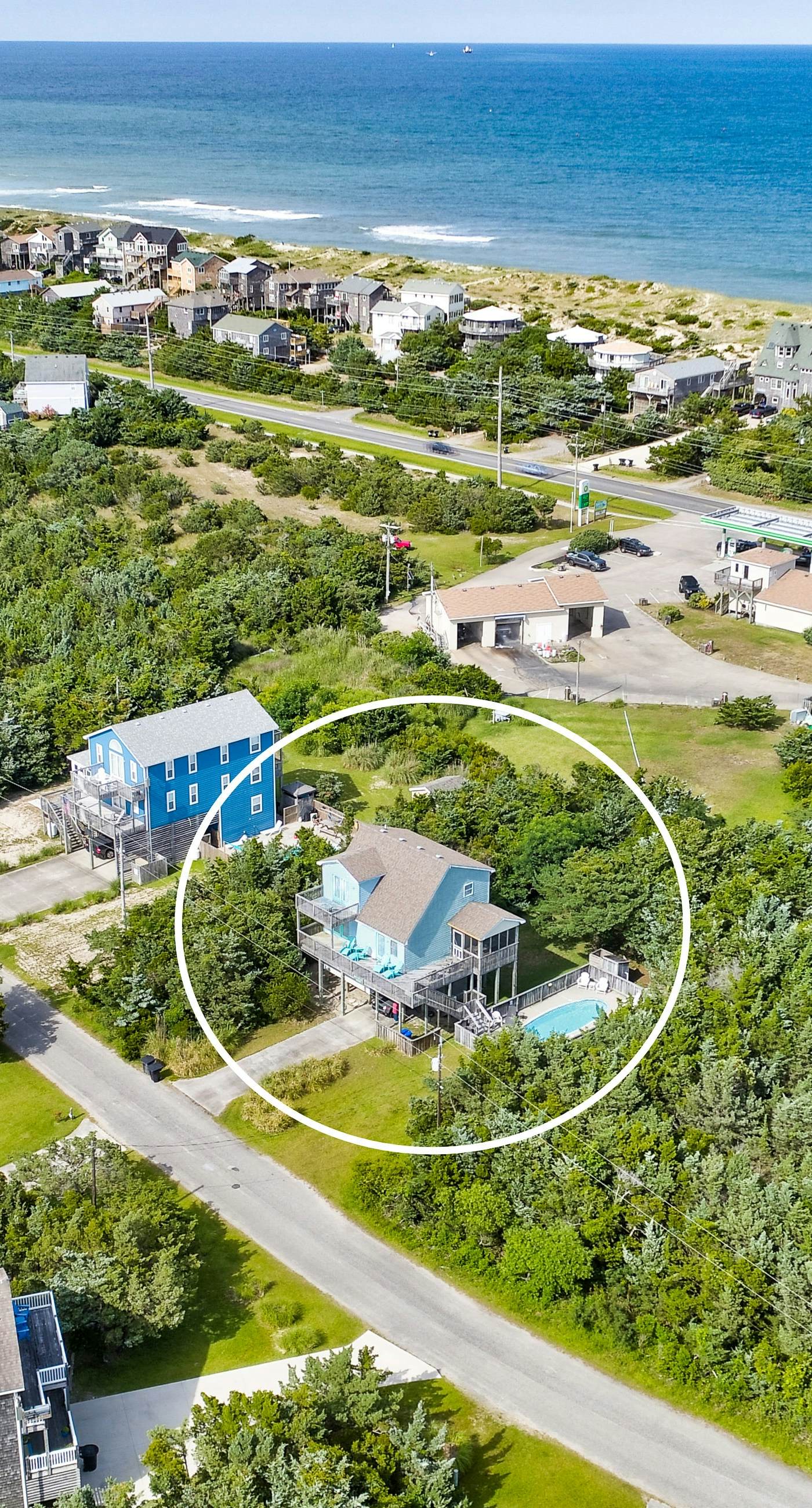 AV904 Sugar Bean Shack