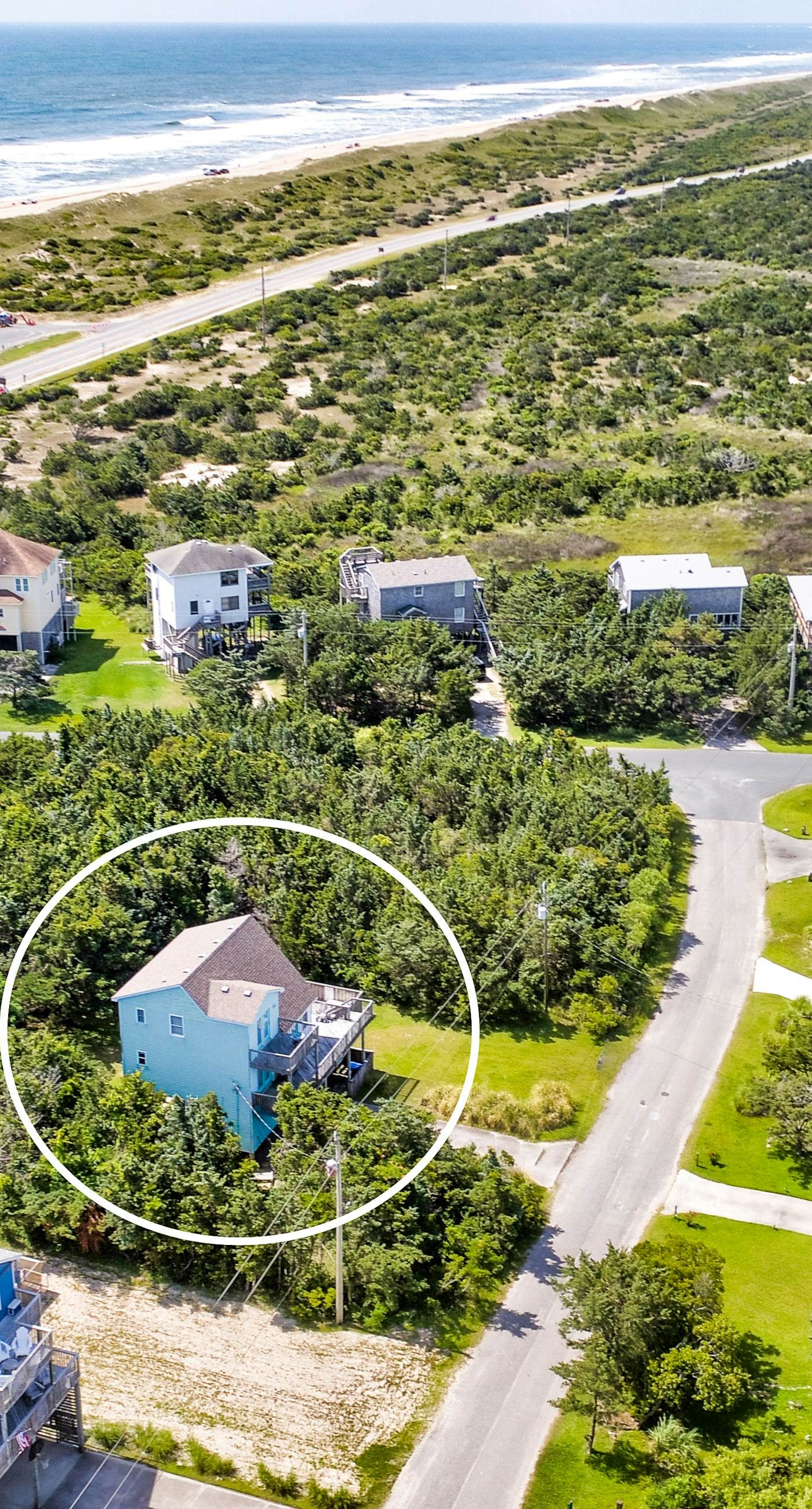 AV904 Sugar Bean Shack