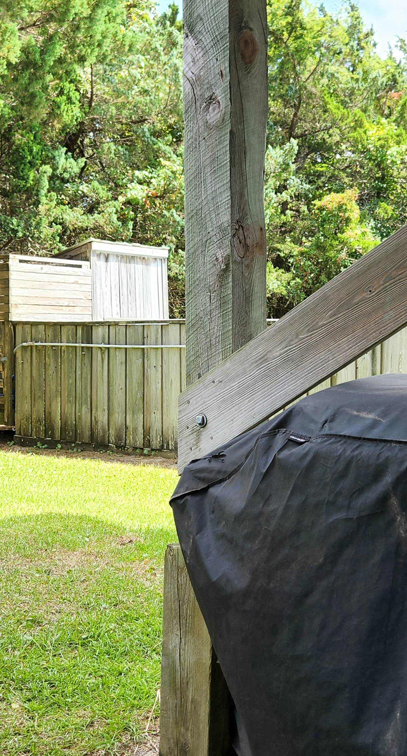 AV904 Sugar Bean Shack